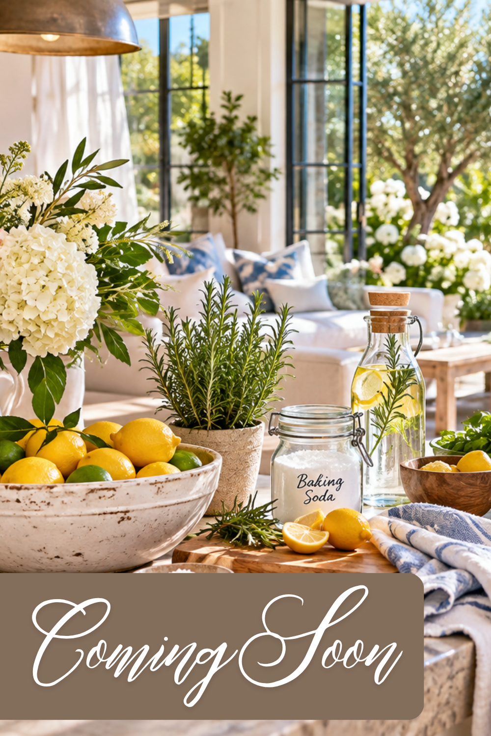 The Healthiest Way to Freshen Your Home Without Artificial Fragrance