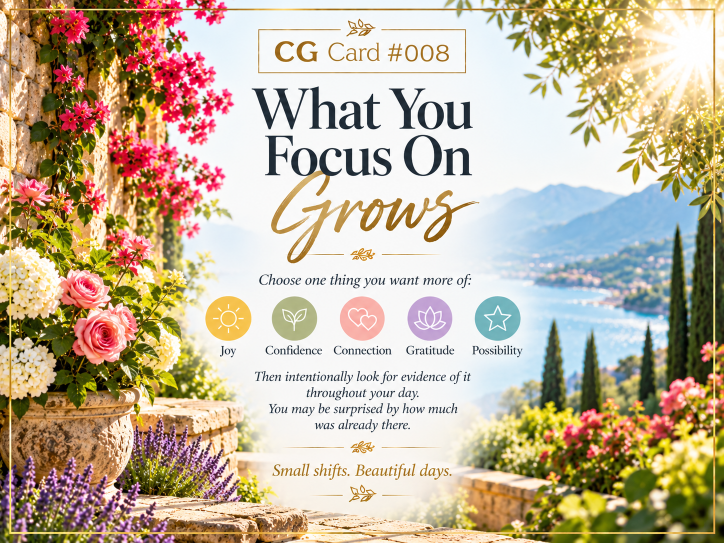 What You Focus On Grows