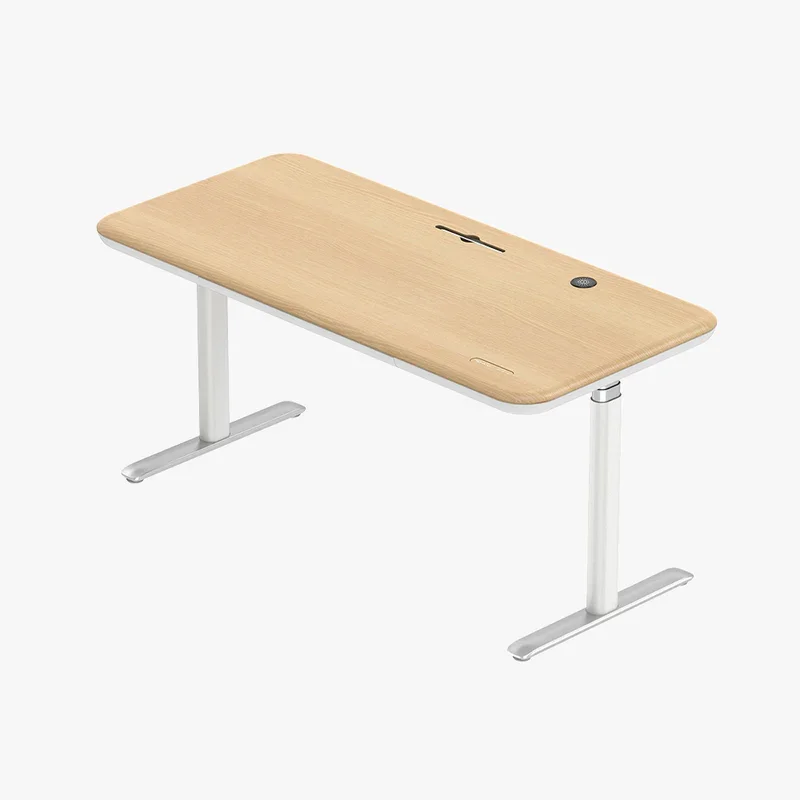 Lunar Ergonomic Standing Desk