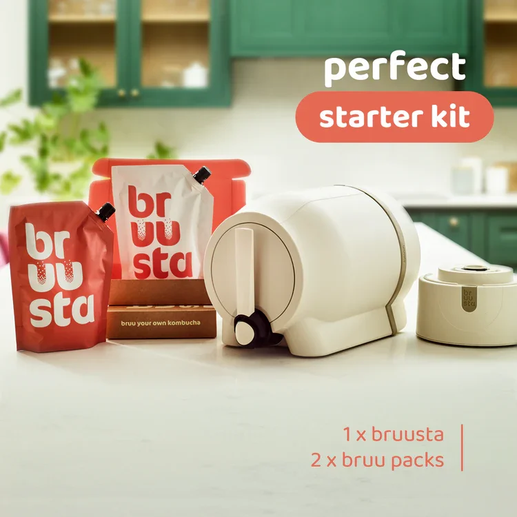 home kombucha brewer