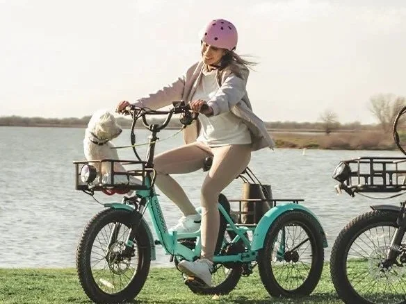 CD1 Electric Youth Trike