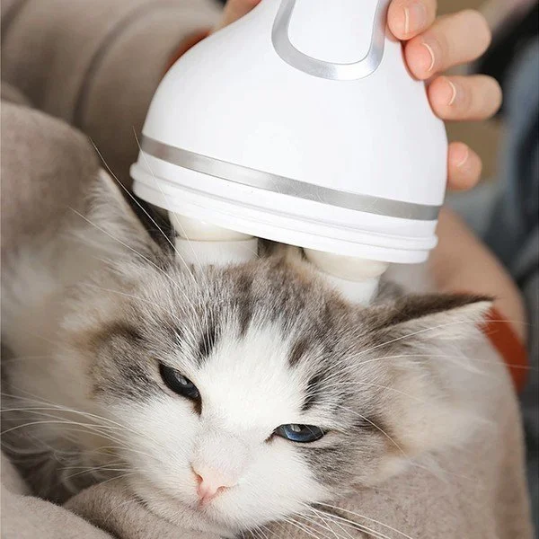 Cordless Multifunctional Pet Massager