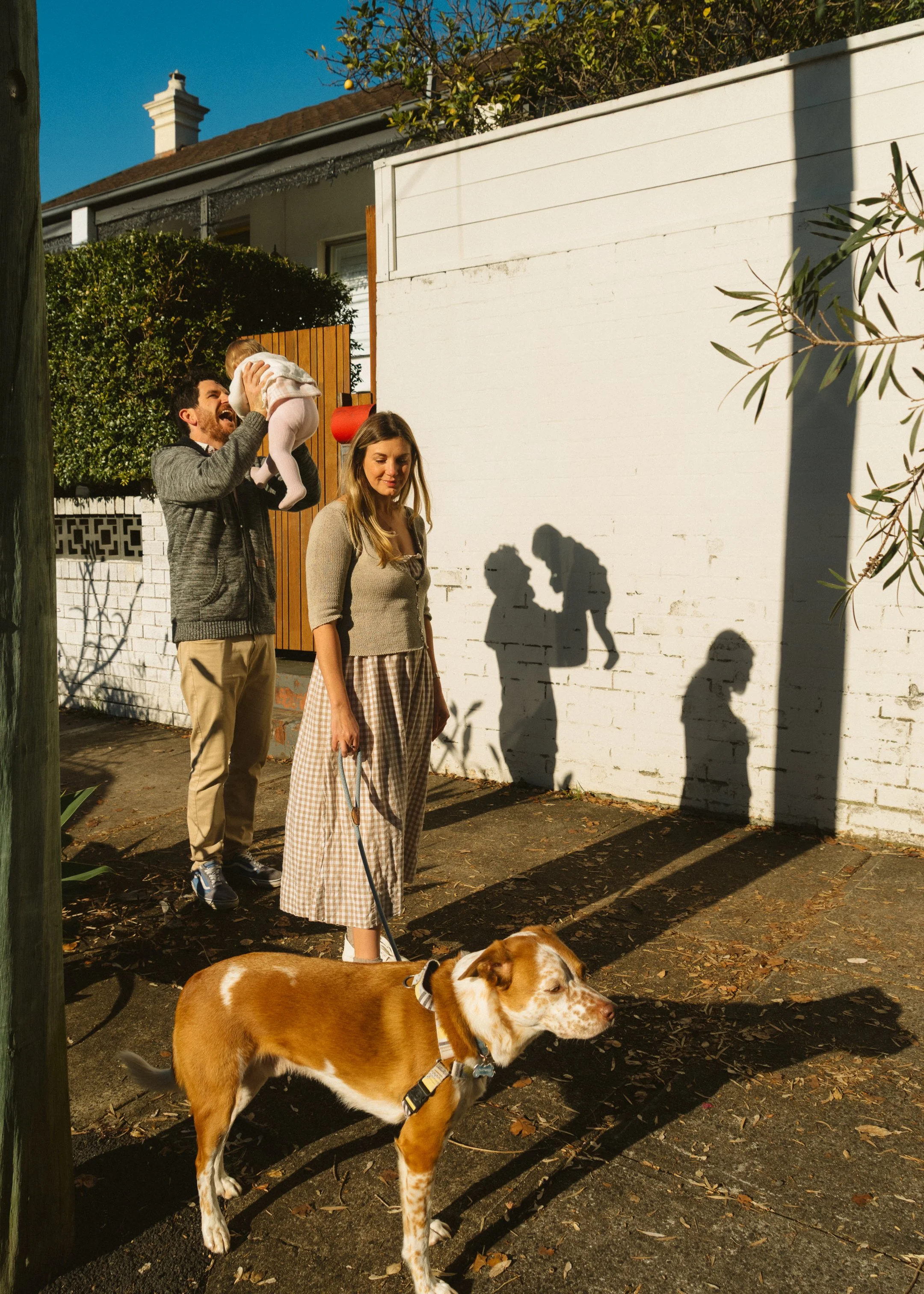 A family standing outdoors on a sunny day, with shadows cast on a white brick wall. A man is holding a young girl while she looks down, a woman with a dog leash stands nearby, and a brown and white dog is in the foreground looking to the side. There are trees and houses in the background.