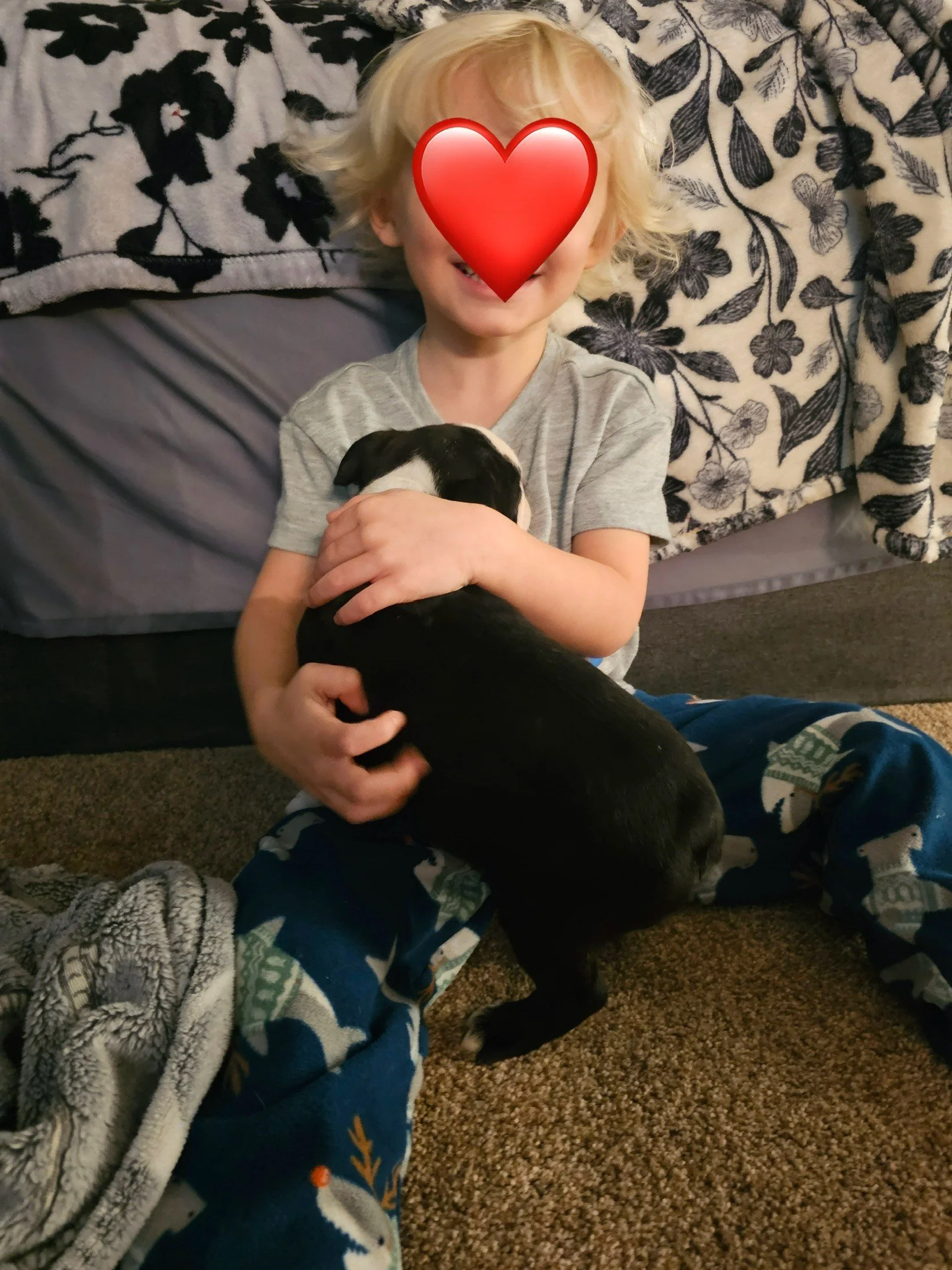 Resized_20251230_203427 (1).jpeg