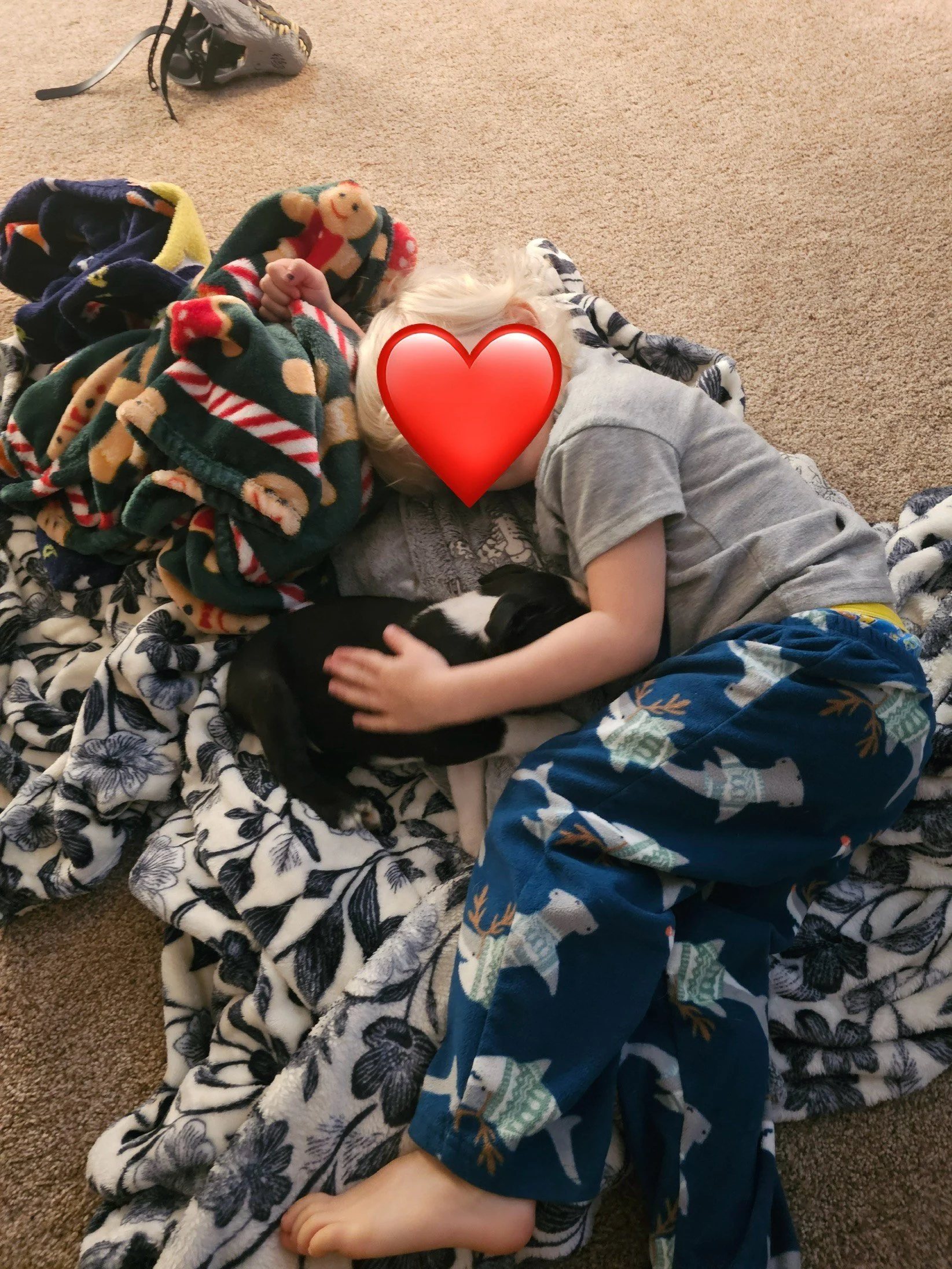 Resized_20251230_204516 (1).jpeg