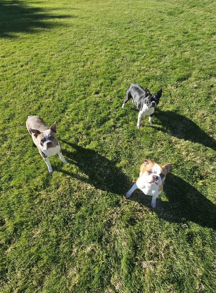trio.jpg