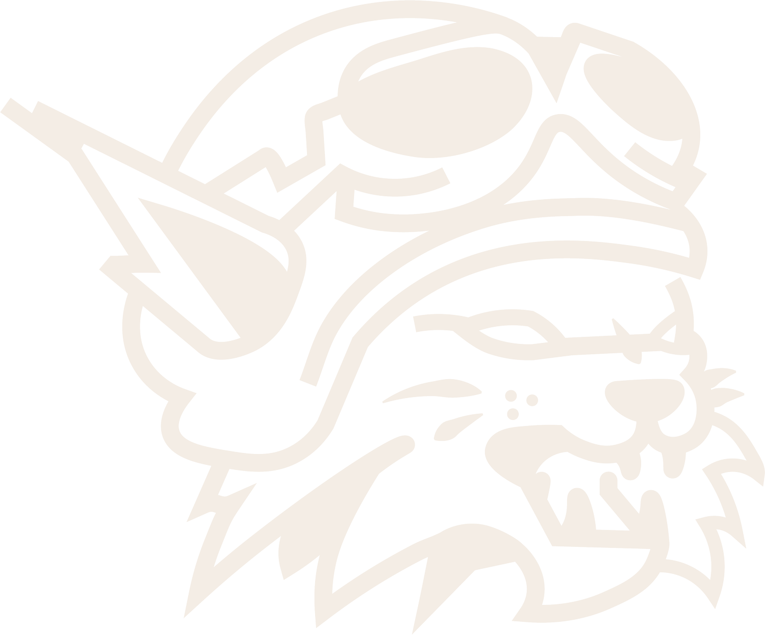 Wildcat Formula Racing