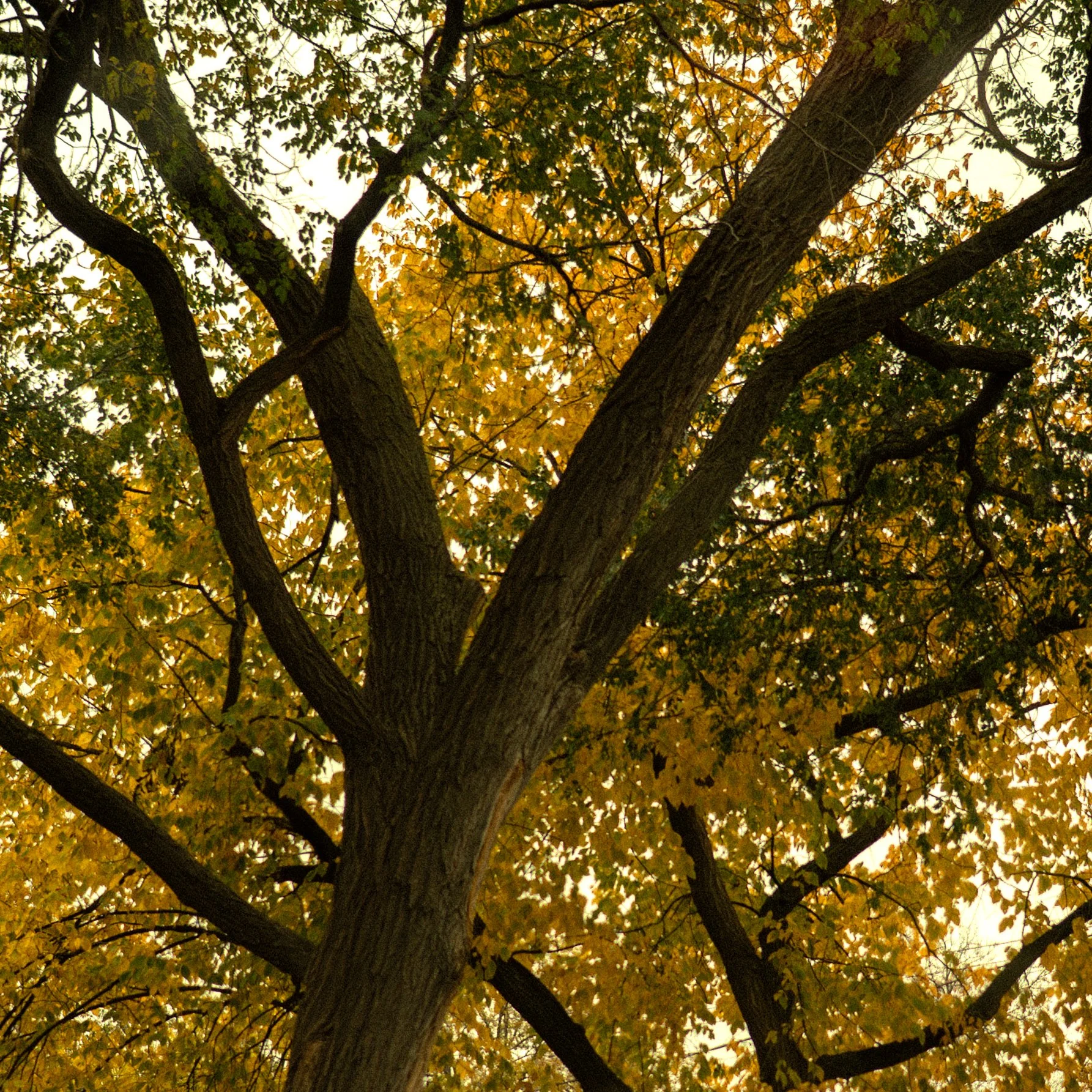 ksenia unser landscape photography