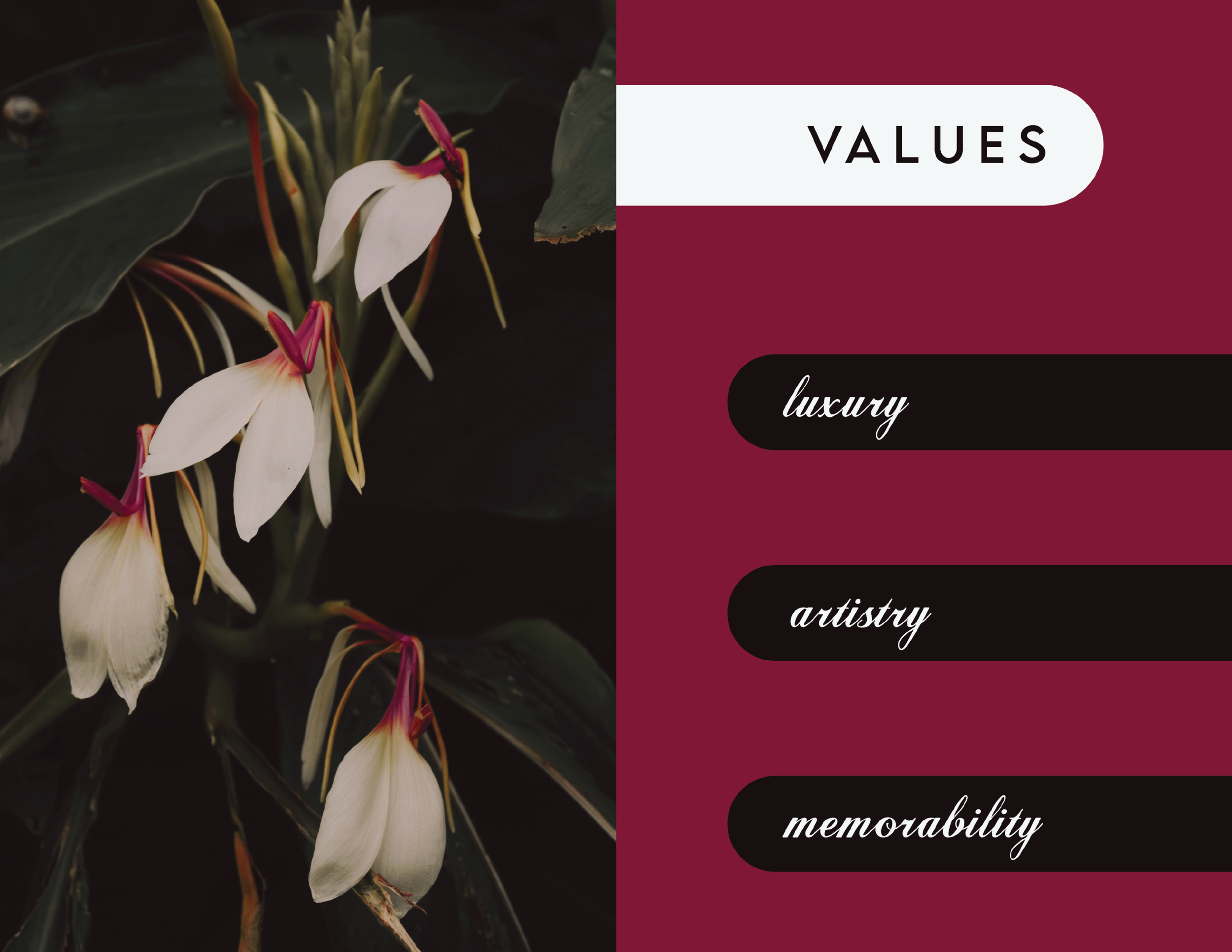 Claret Fragrance Booklet4.png