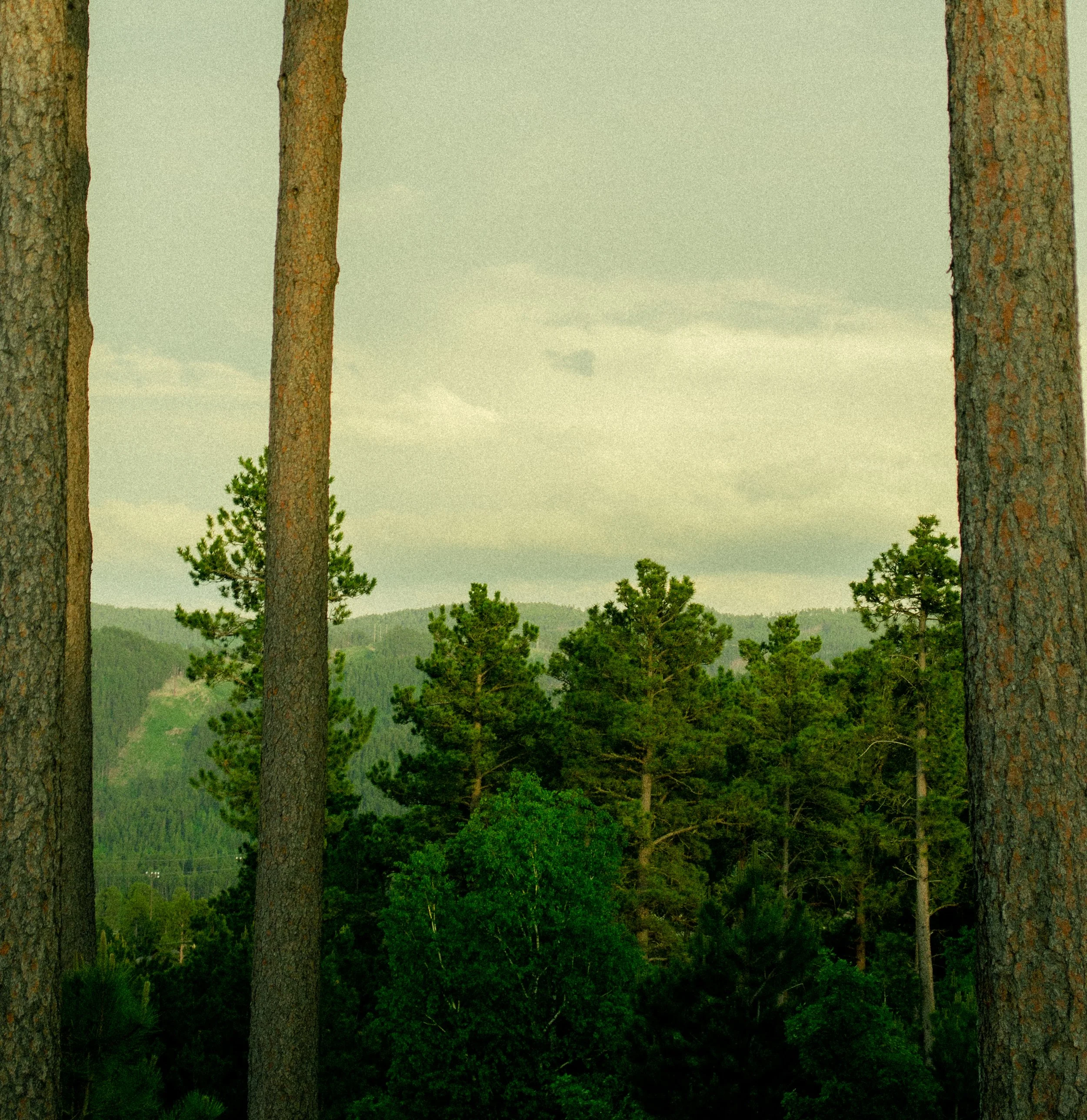 south dakota landscape ksenia unser