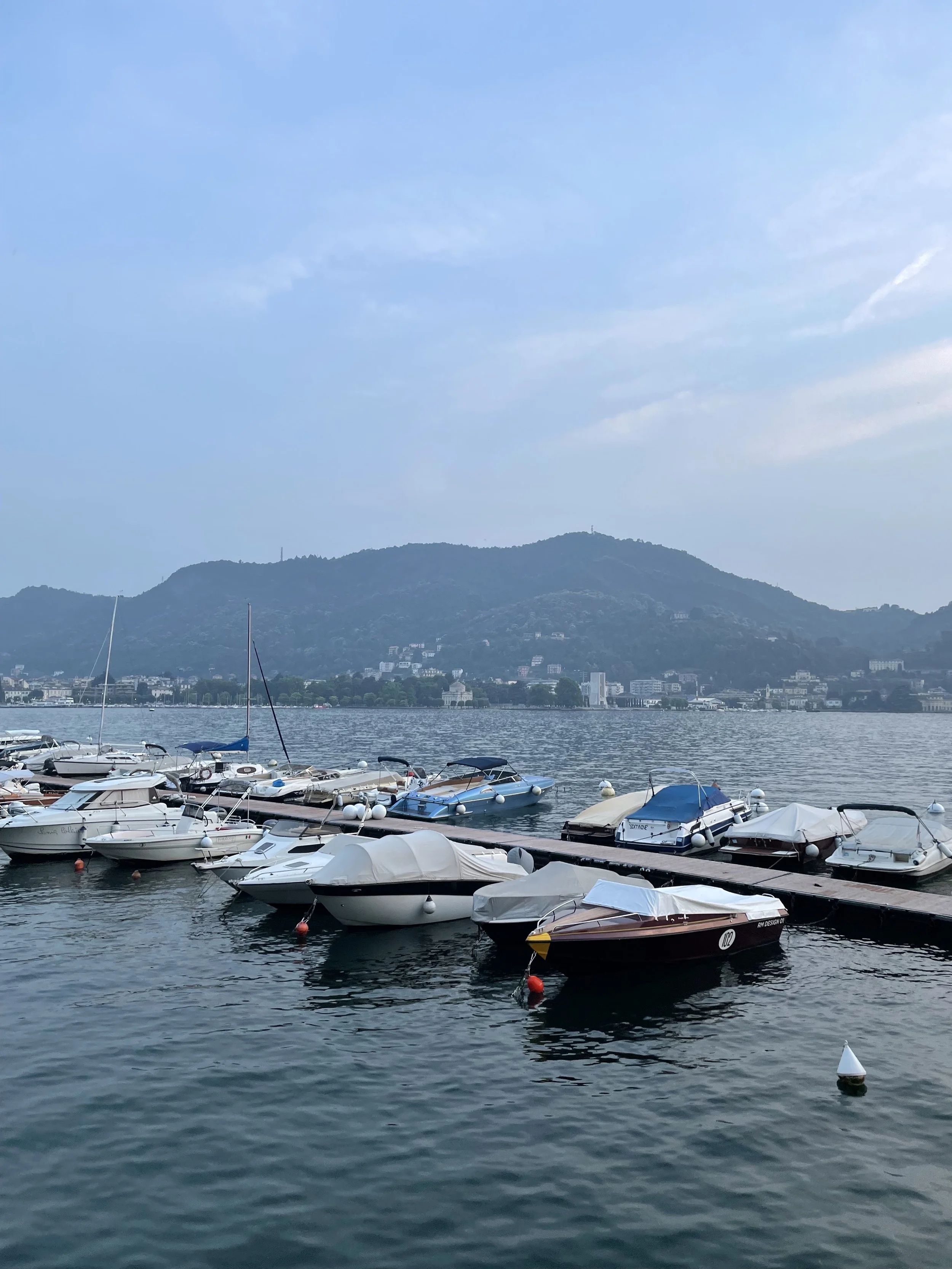 IMG_8381.jpg