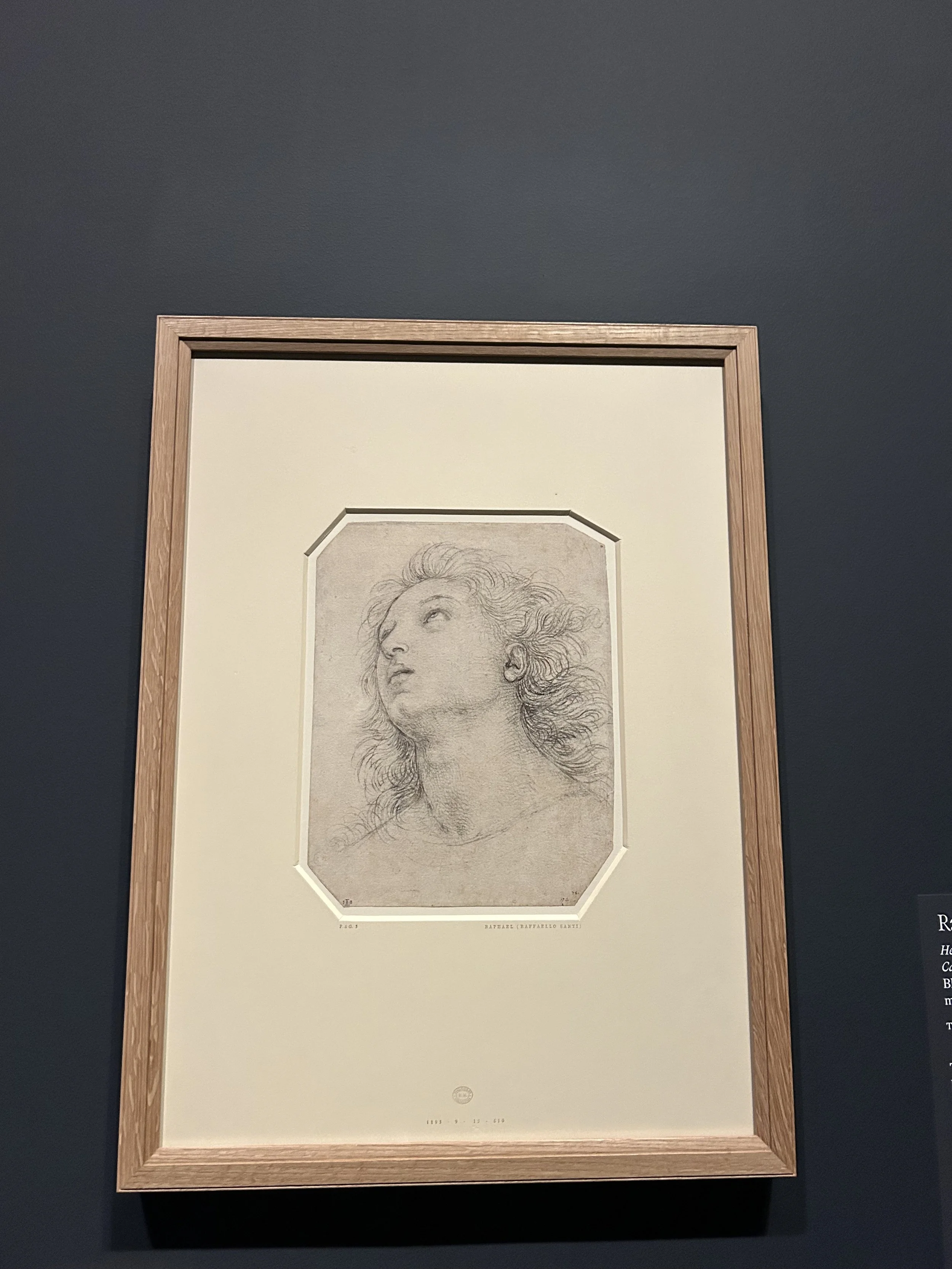 A framed sketch of a woman's profile with detailed hair, labeled with artist and date information.
