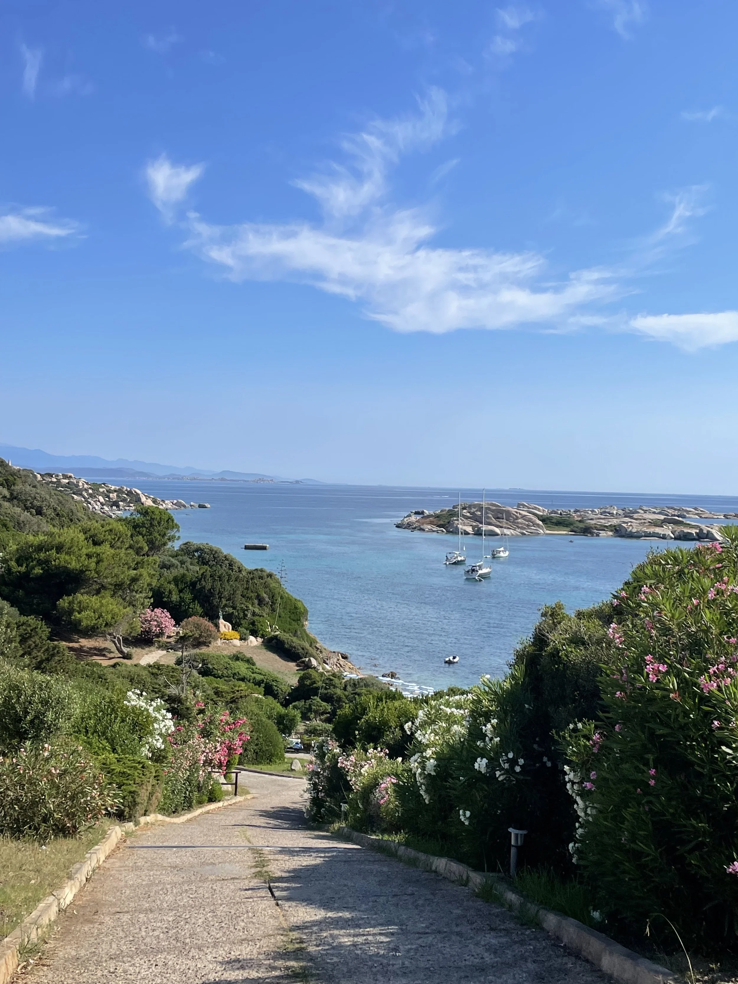 sardenia nature.jpg