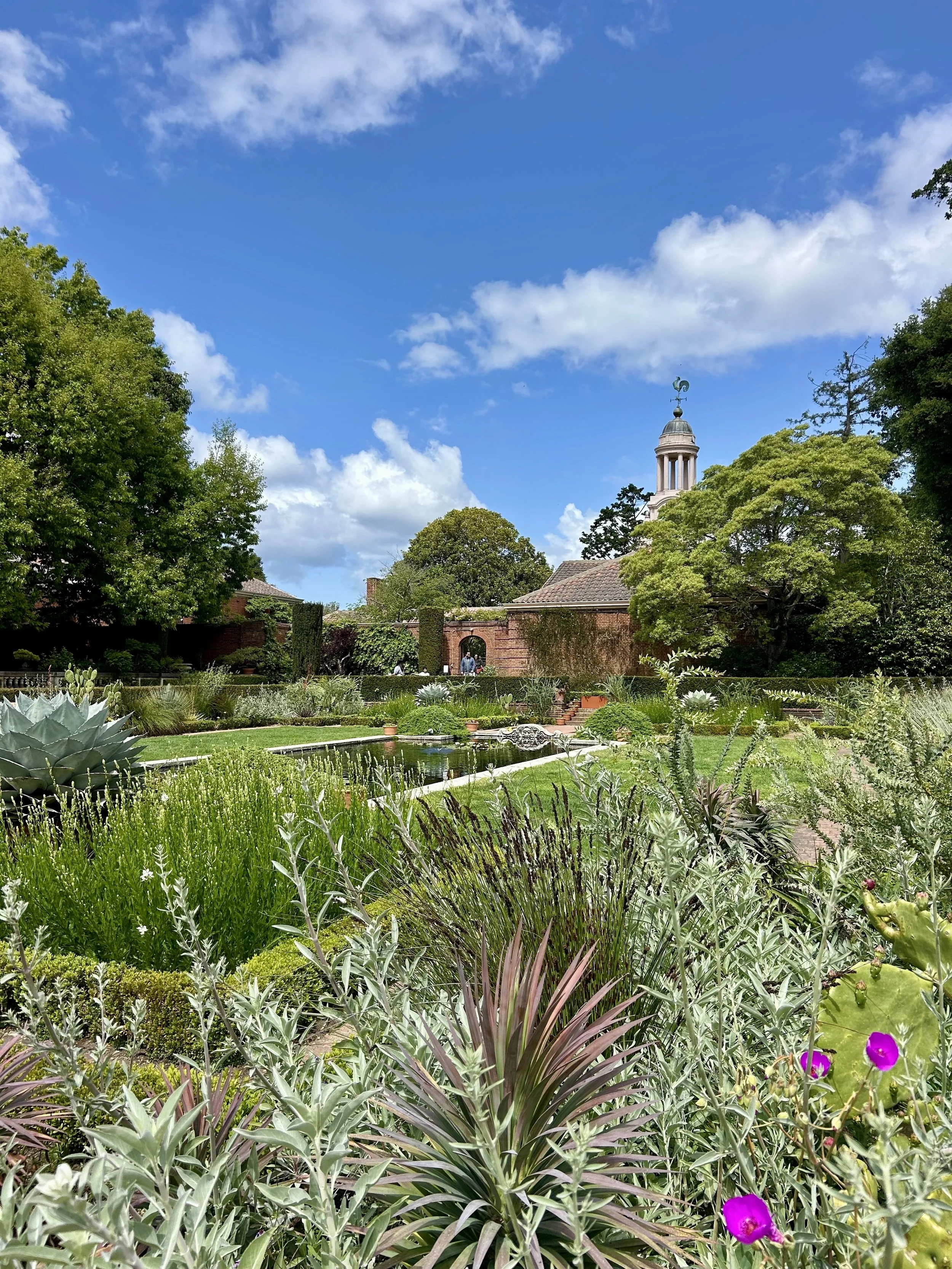 A lush garden with various green plants, trees, a pond, and a brick building with a tower topped with a weather vane in the background under a blue sky with scattered clouds.