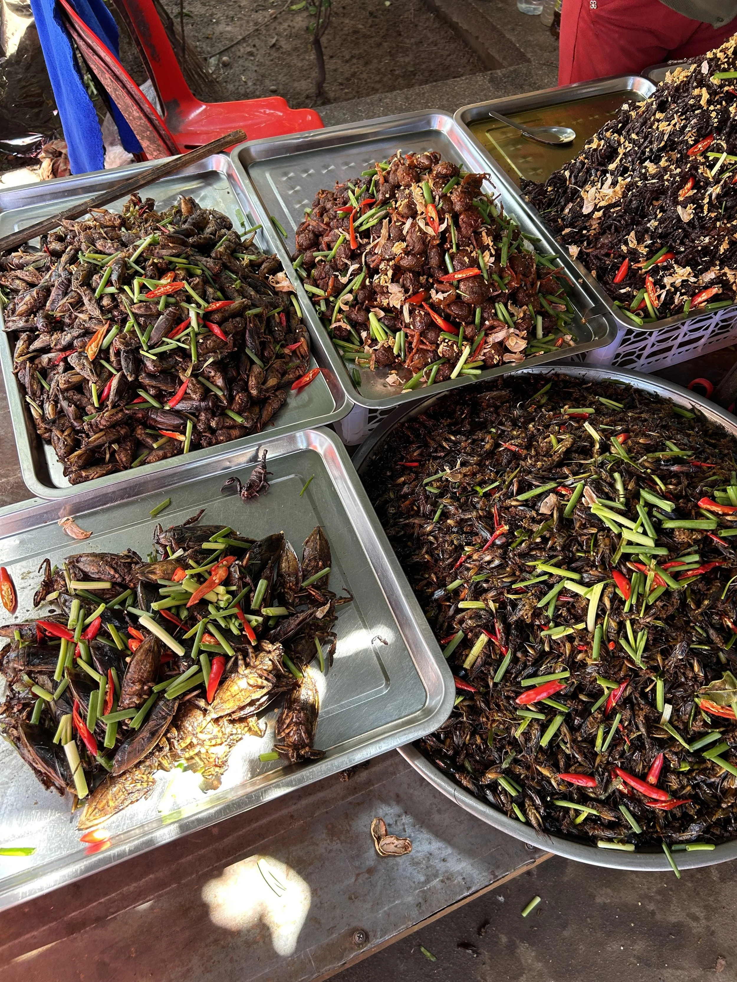 Cricket food Cambodia.jpg