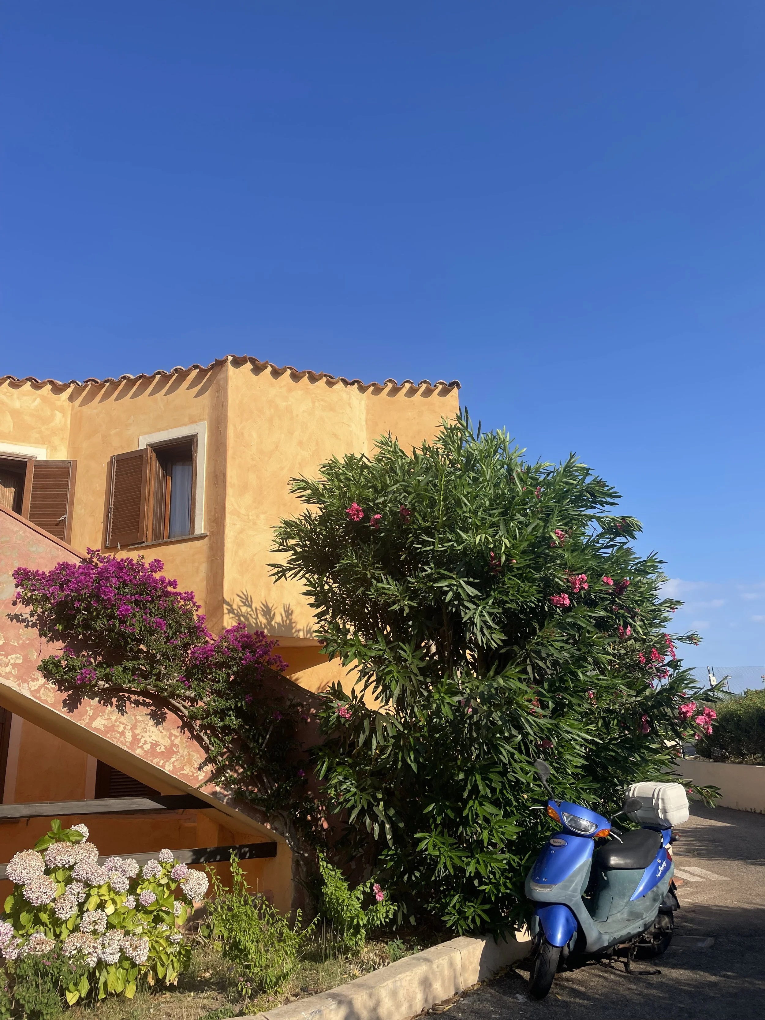 houses sardenia mediterranean .jpg