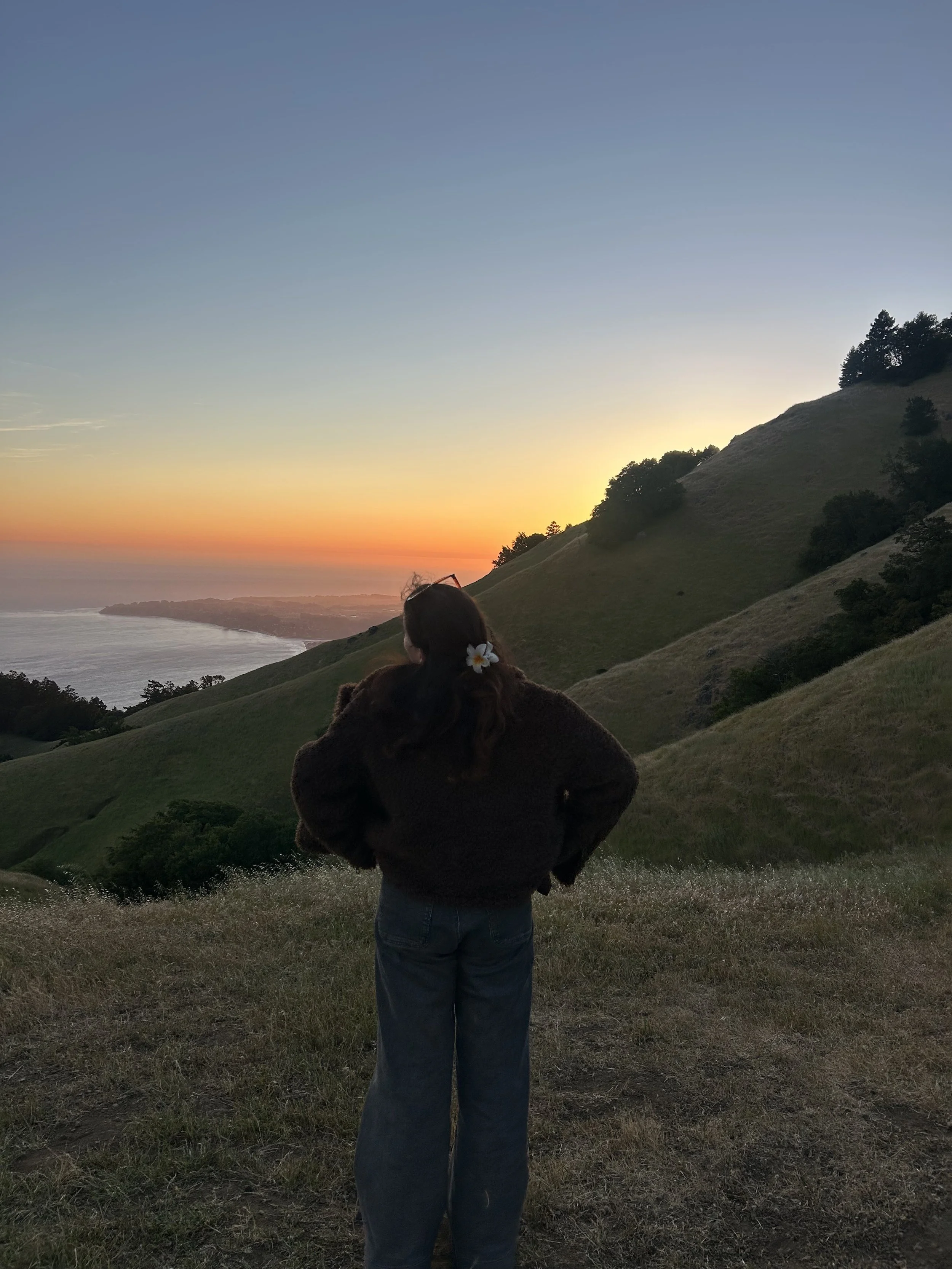 A woman stands on a grassy hill at sunset with her back to the camera, wearing a brown jacket and blue jeans, with a white flower in her hair, facing the landscape of hills, trees, and ocean under a colorful sky.