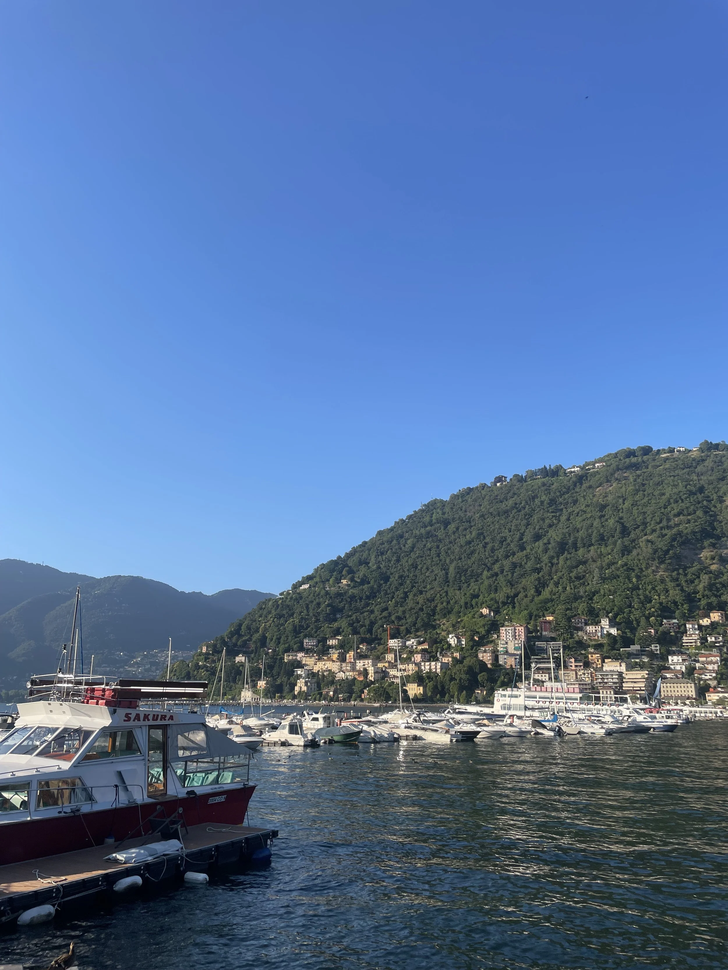 Boats docked at a marina in front of a hillside town with many houses, under a bright blue sky.