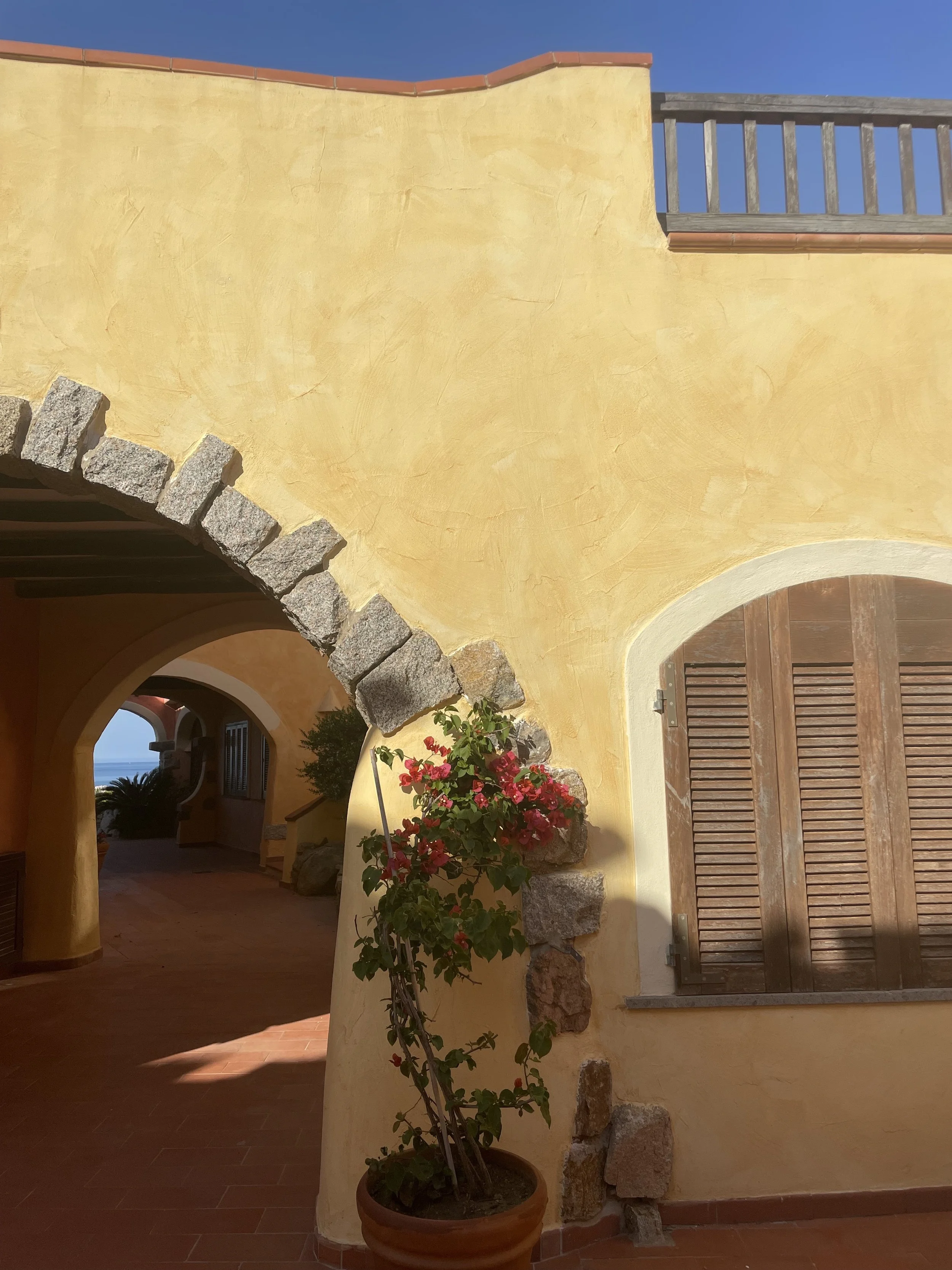 sardenia view mediterranean yellow.jpg
