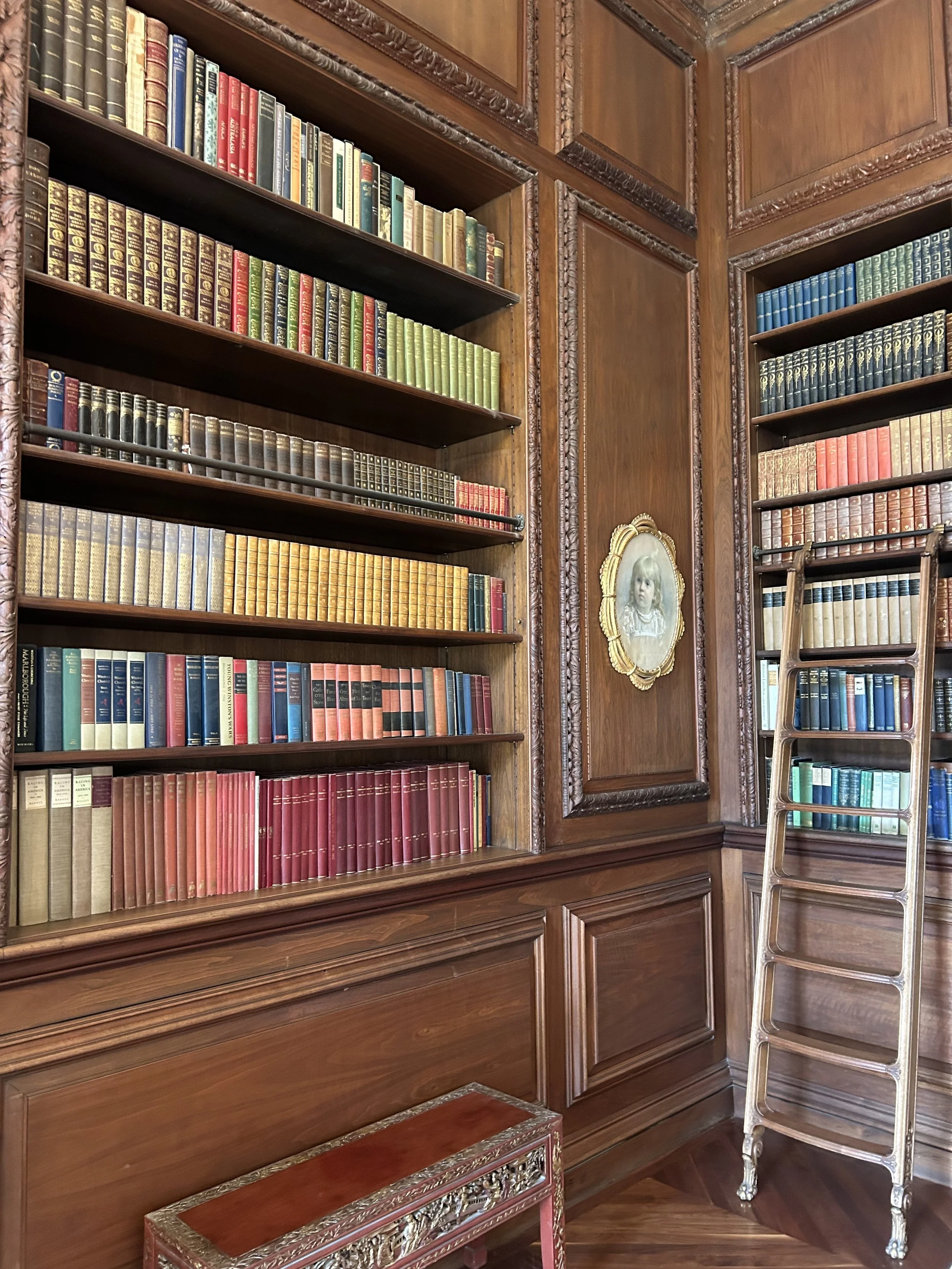 Wood-paneled library wall with built-in bookshelves filled with various colored books, a decorative gold-framed portrait of a child, a metal step ladder, and a small ornate table.
