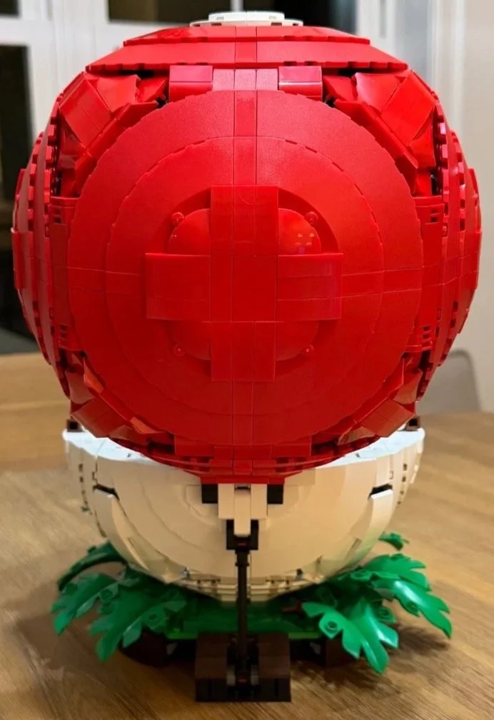 Finished rear