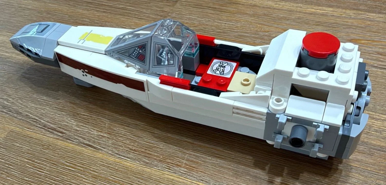 Bag 5: enclosed body and rear button
