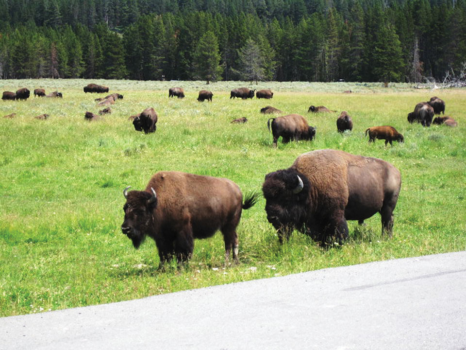Places to visit_BISION.jpg
