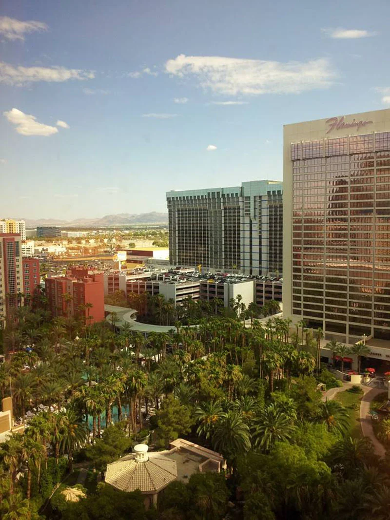 2014 USA tour_Another view of the Flamingo in Vegas.jpg