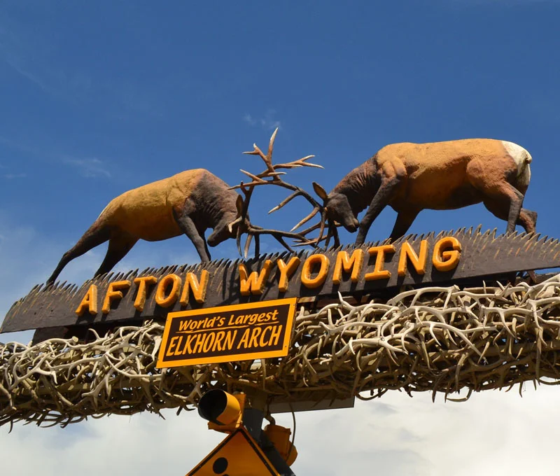 2014 USA tour_20.jpg