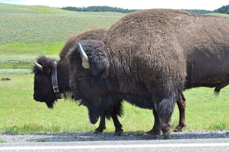 2014 USA tour_23.jpg