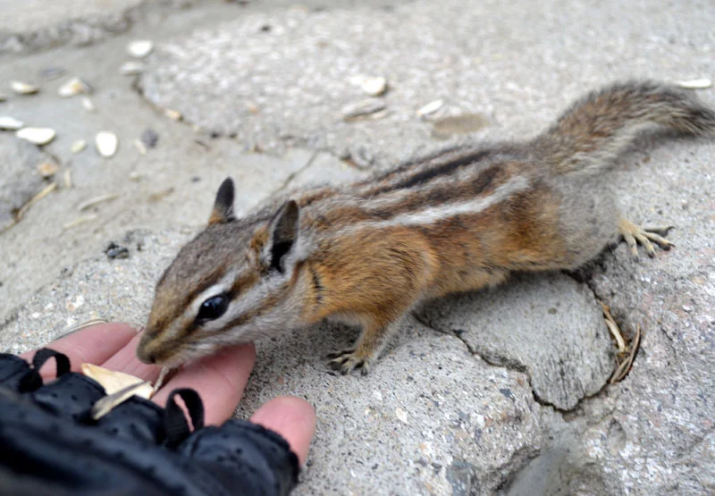 2014 USA tour_29.jpg