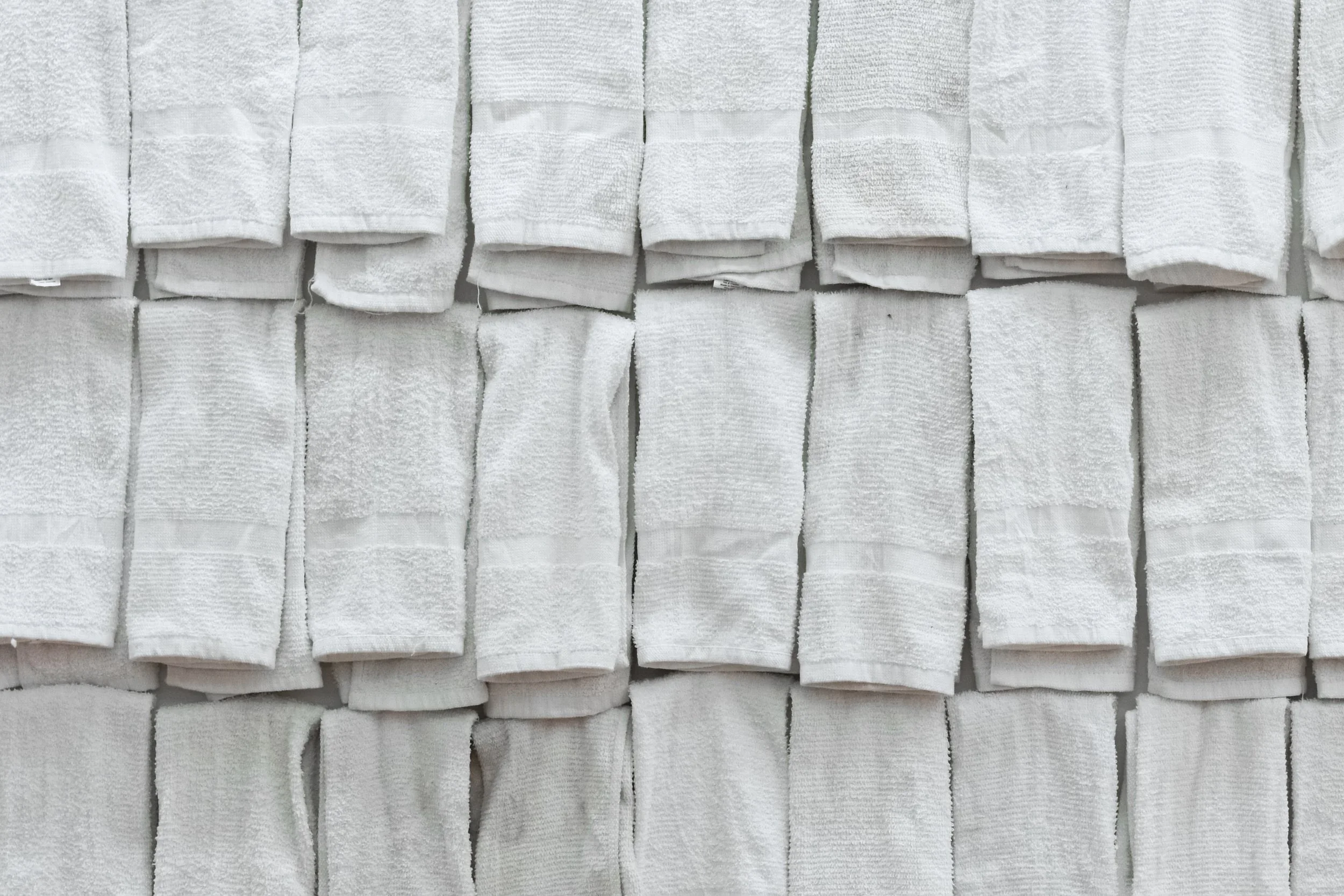 The Transexual Sweat Project