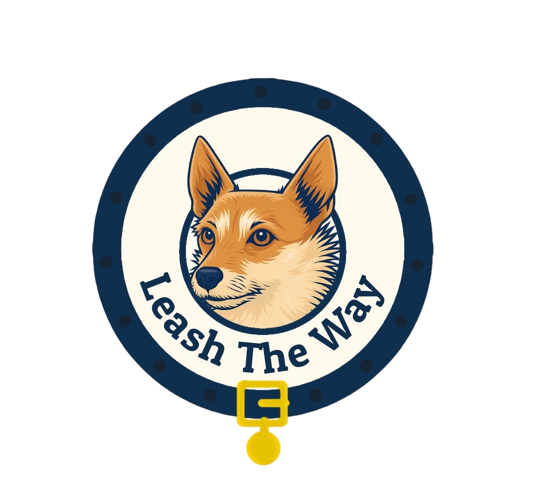 Leash The Way - Walk and Play
