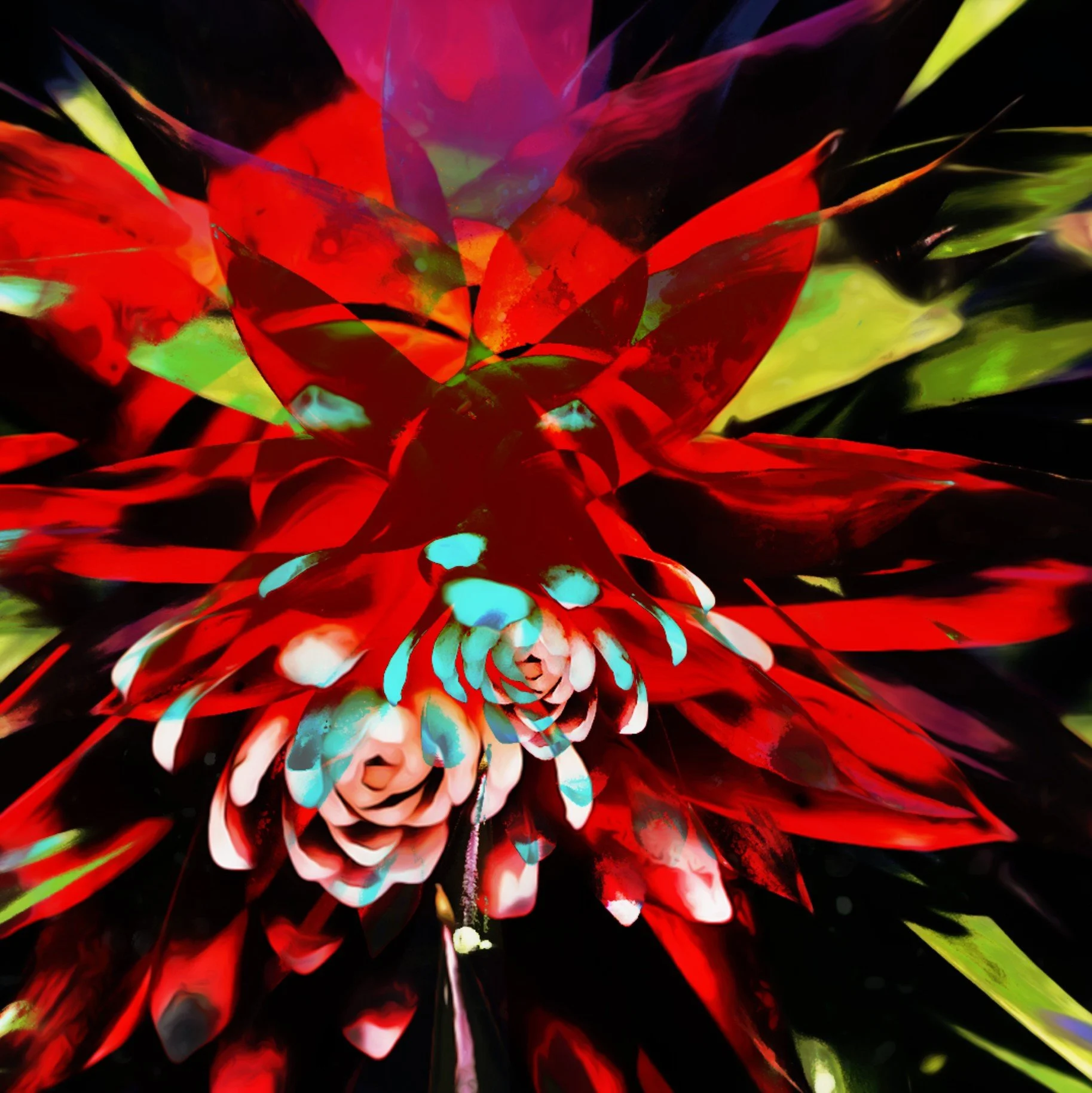 BLOOM
