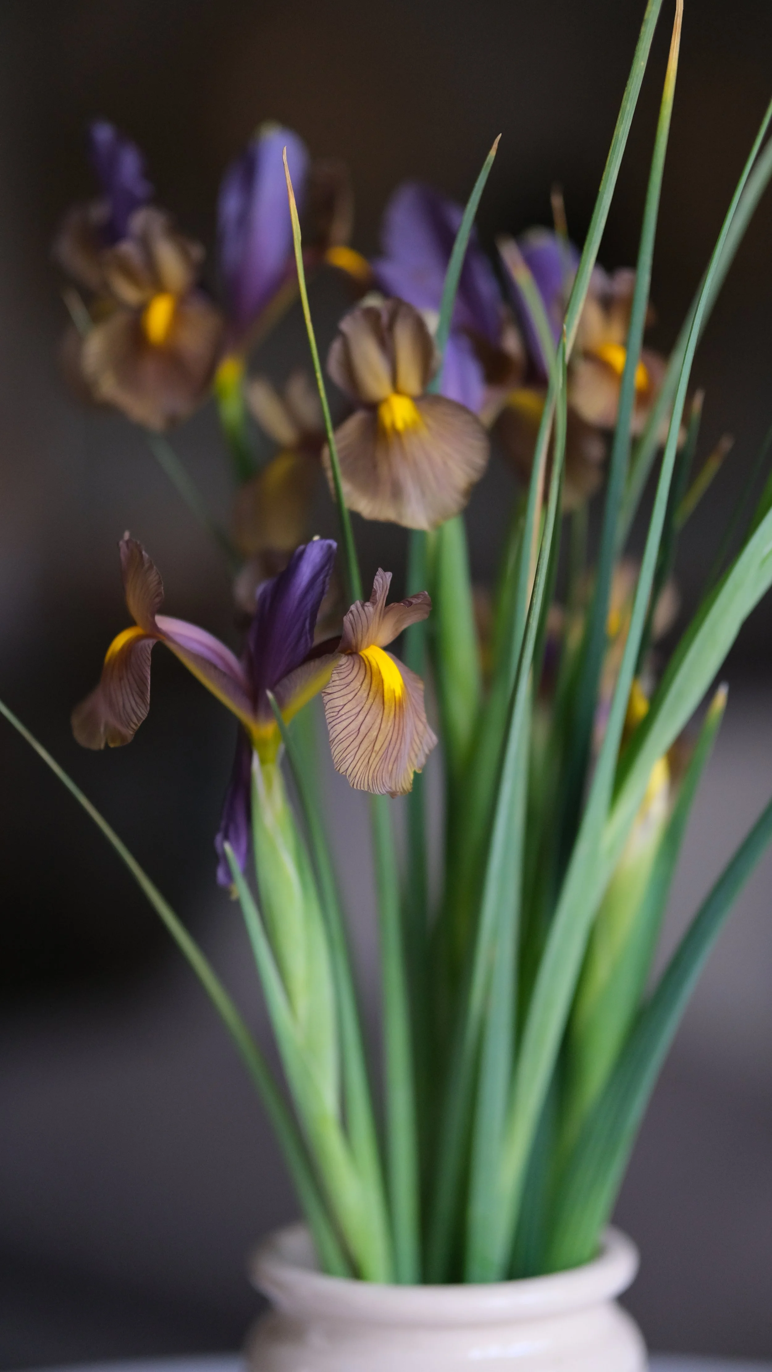 Edmonton Wedding and Event Design.