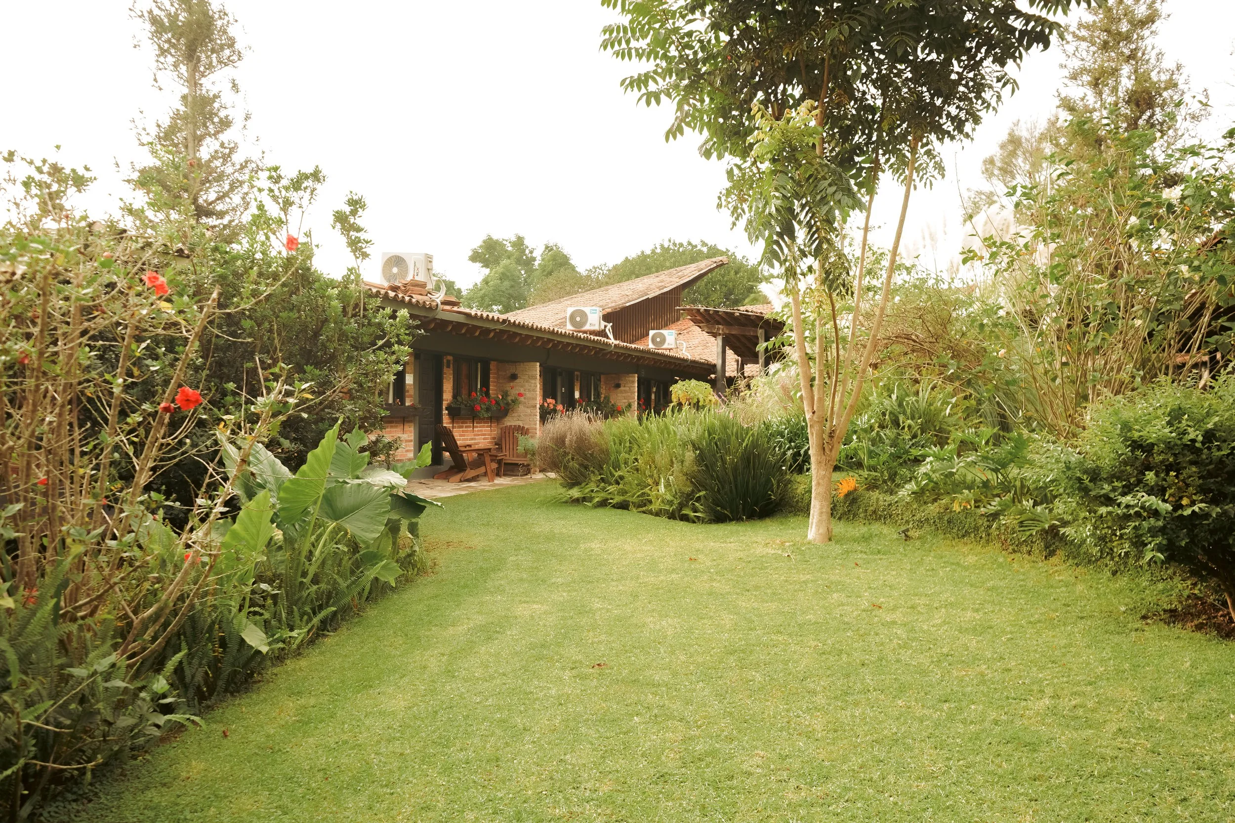 Jardín con césped bien cuidado, árboles y plantas, y una casa de un piso con paredes de ladrillo y ventanas con macetas de flores, en un día soleado.