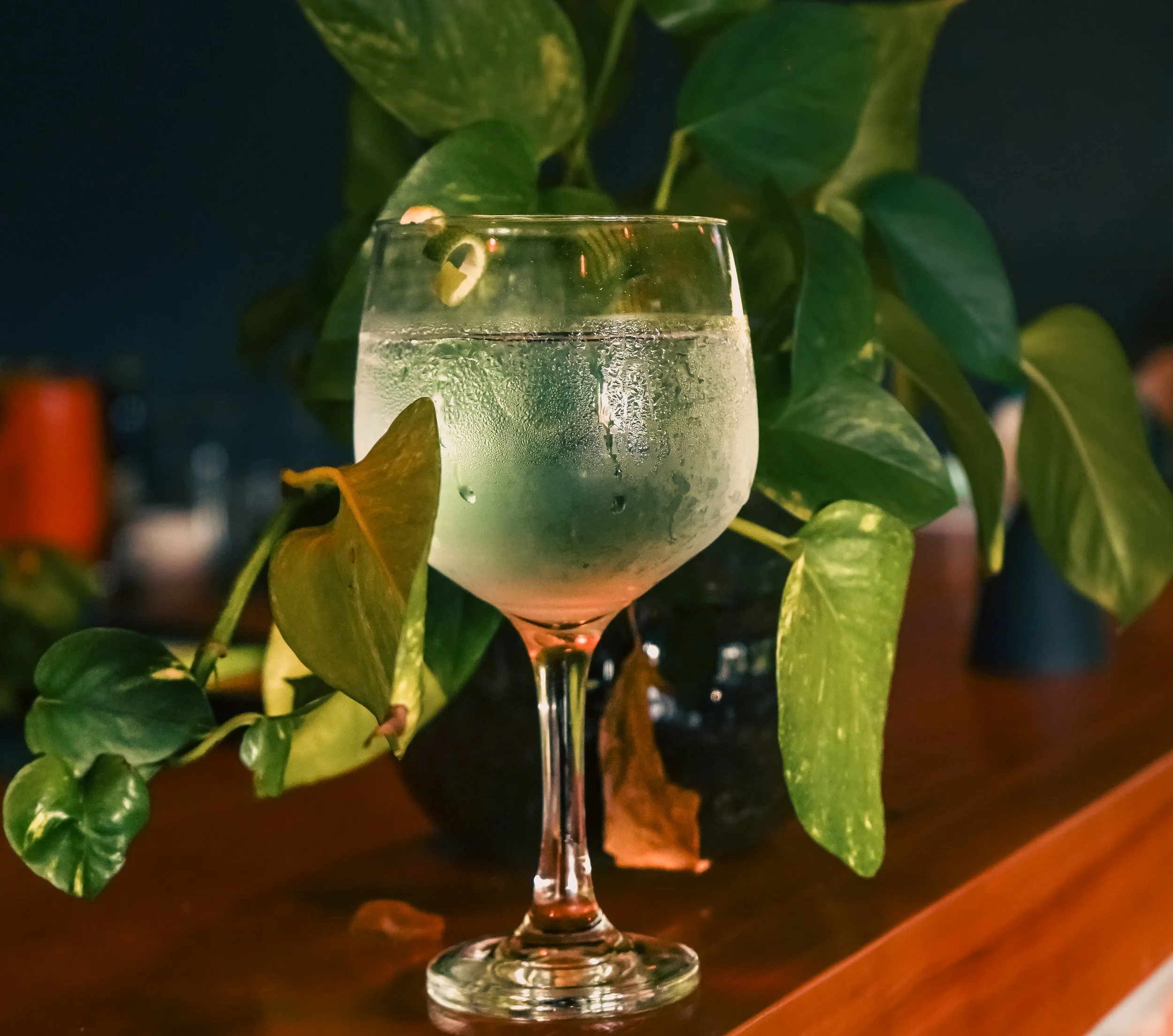 Copa de cóctel con hielo y rodaja de limón, rodeada de plantas verdes.