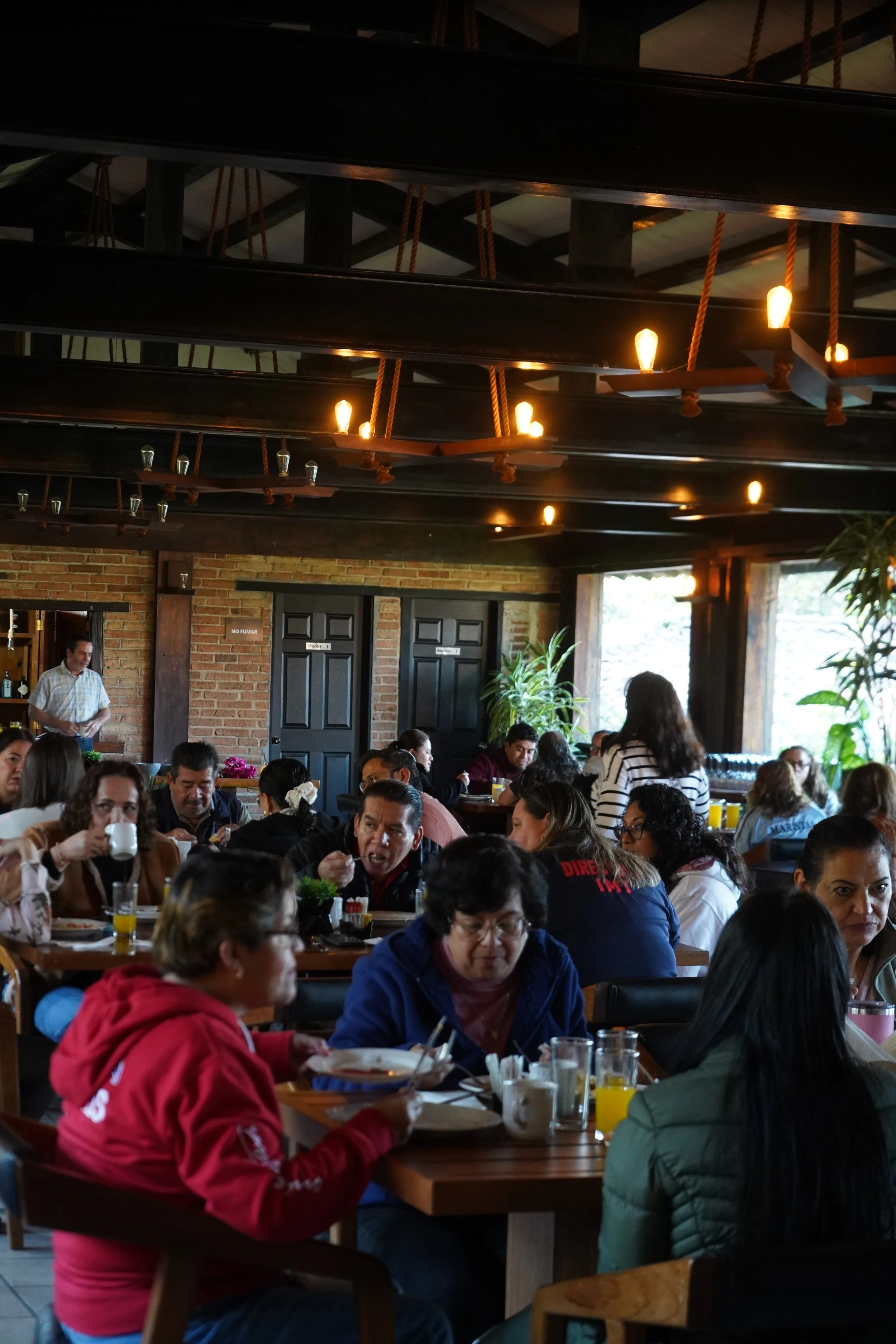 Imagen de un restaurante con muchas personas comiendo y bebiendo, decorado con plantas y luces en el techo, paredes de ladrillo y grandes ventanas al fondo.