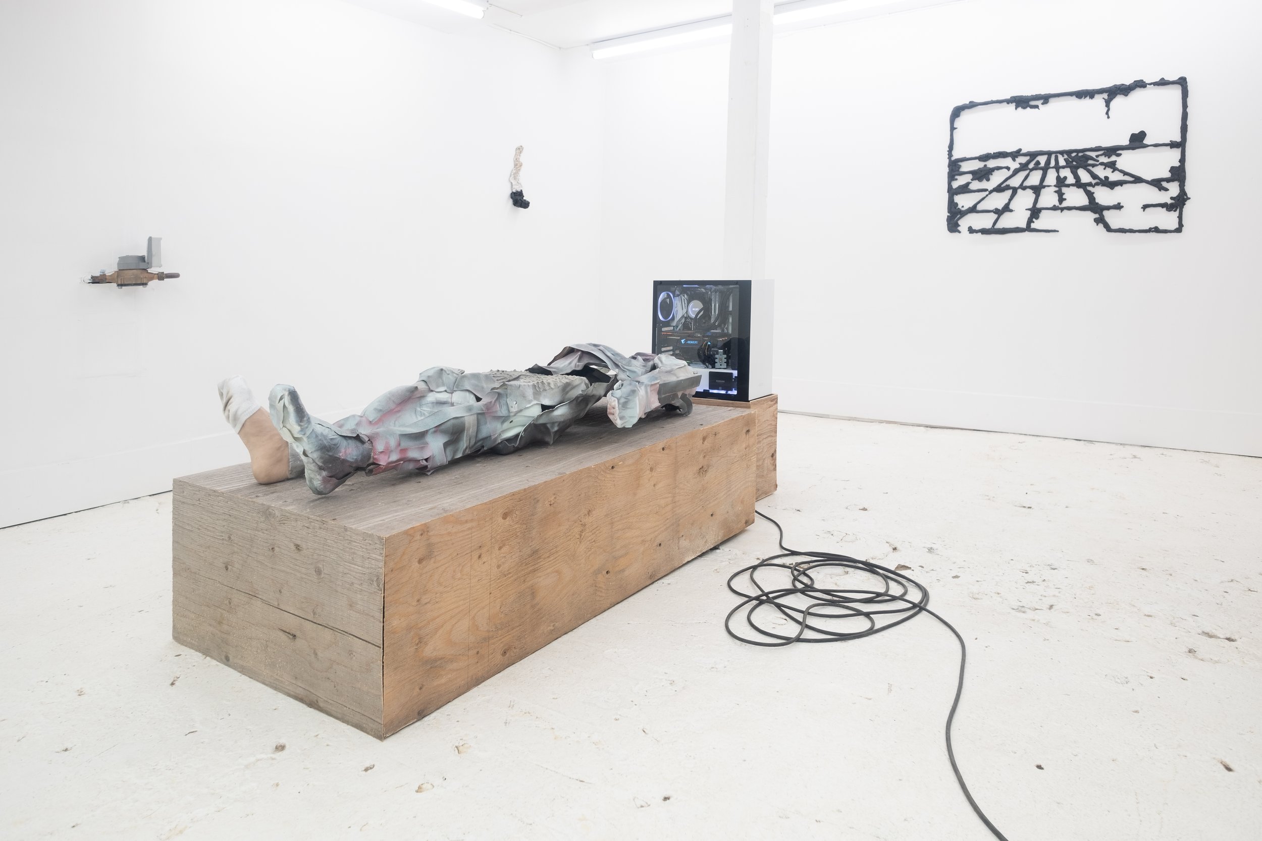   Deep State Prosthetics  (exhibition view) 2018. The Lily, Calgary AB. Photo by Andy van der Raadt.   
