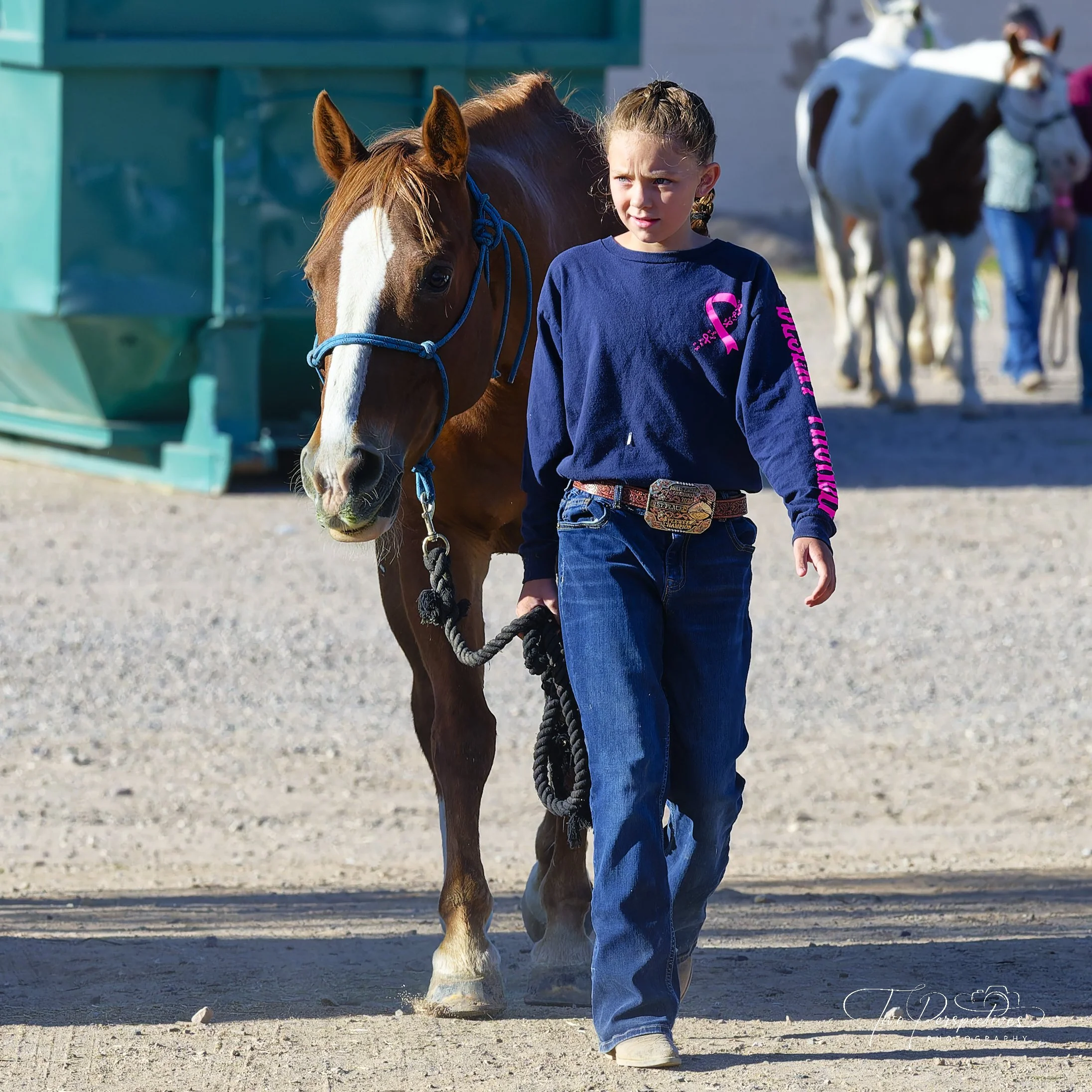 Pima County Fair Gymkhana