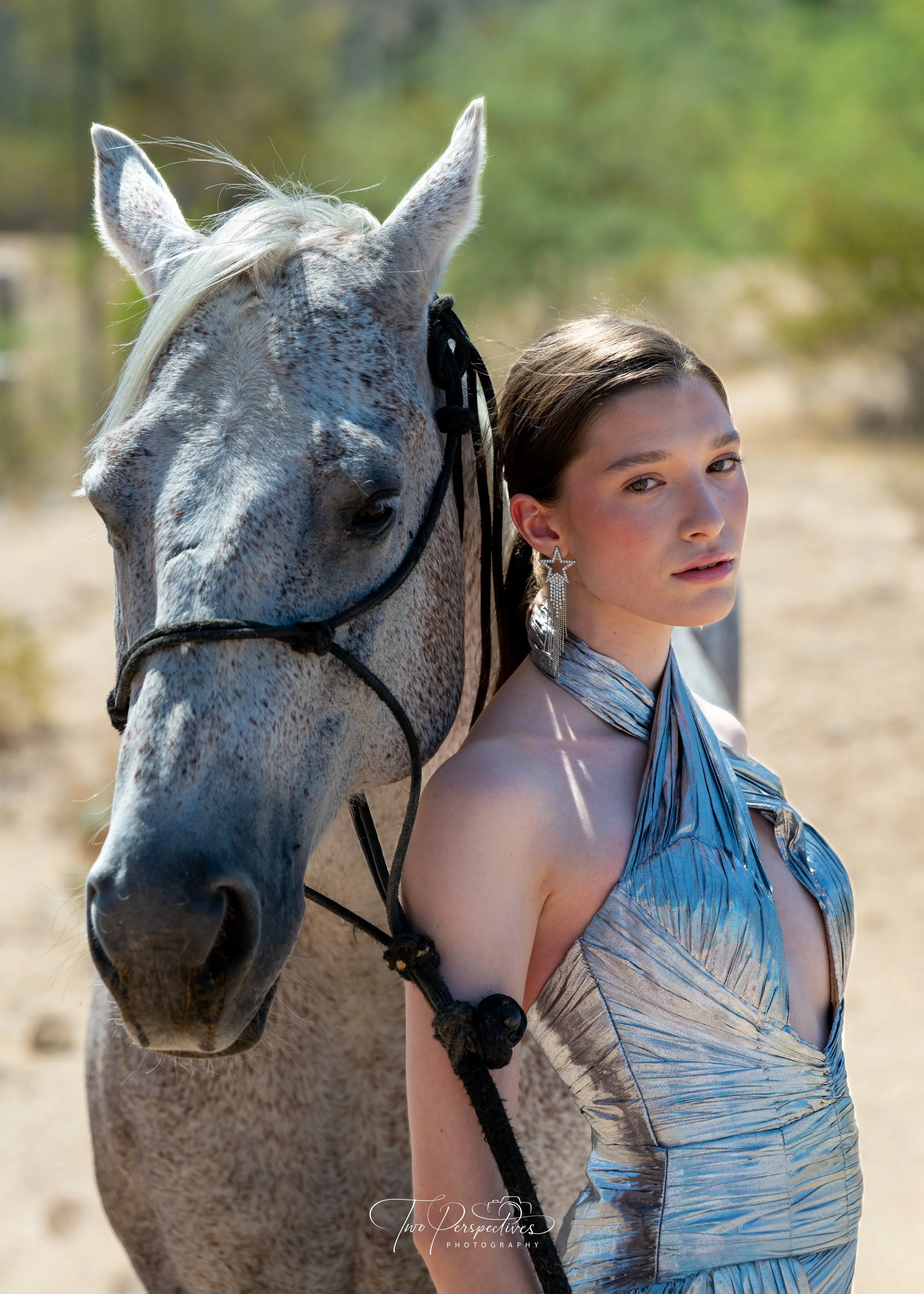 Tanque Verde Ranch Equine Portrait