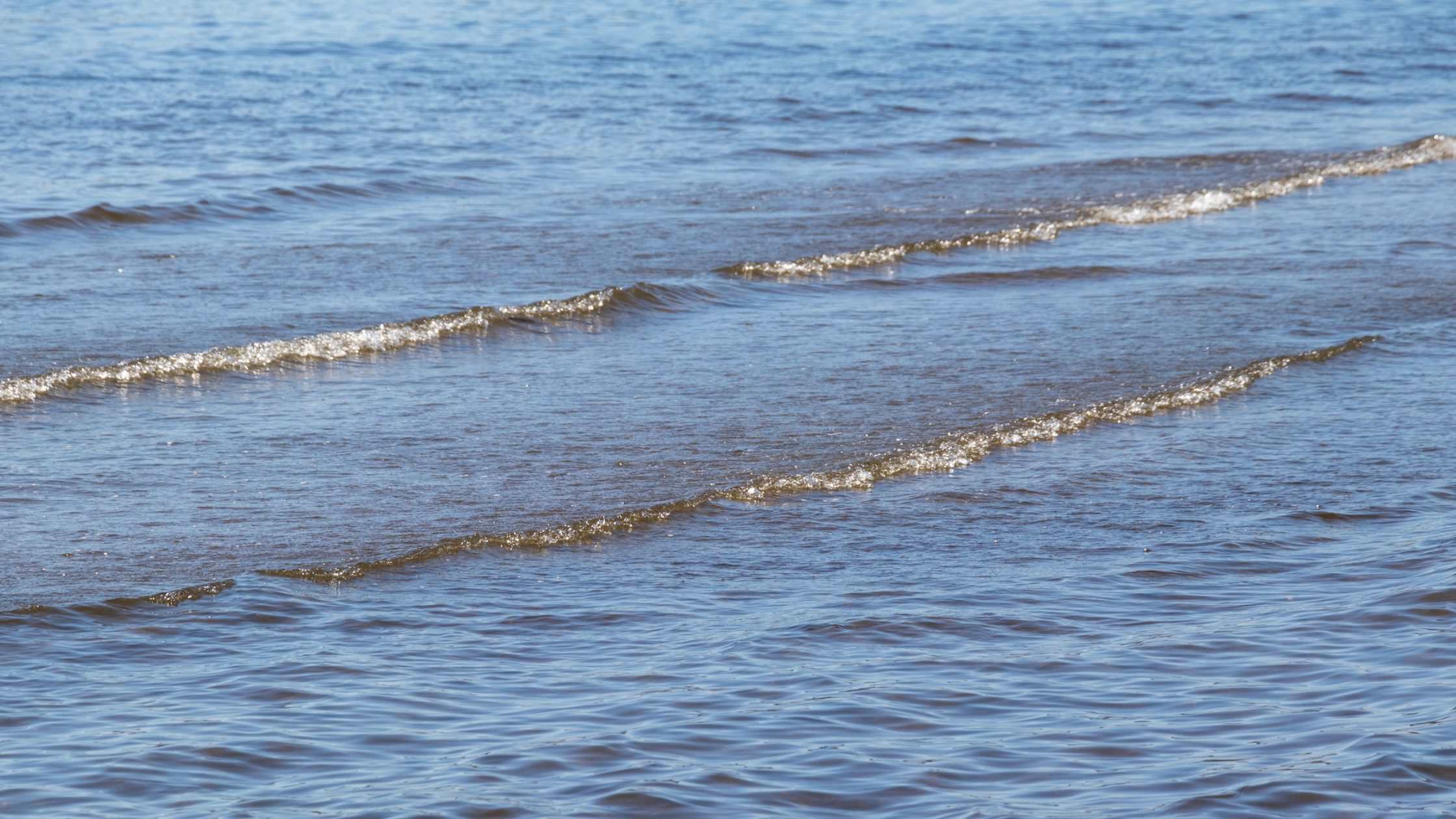 Feeling Lost in Perimenopause and Menopause: The Identity Shift Nobody Talks About