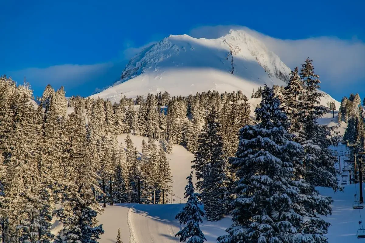 mount hood image.webp