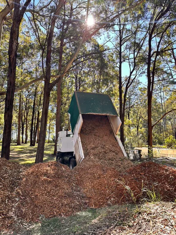 A dump truck unloading mulch in a forested park area with tall trees and sunlight shining through.