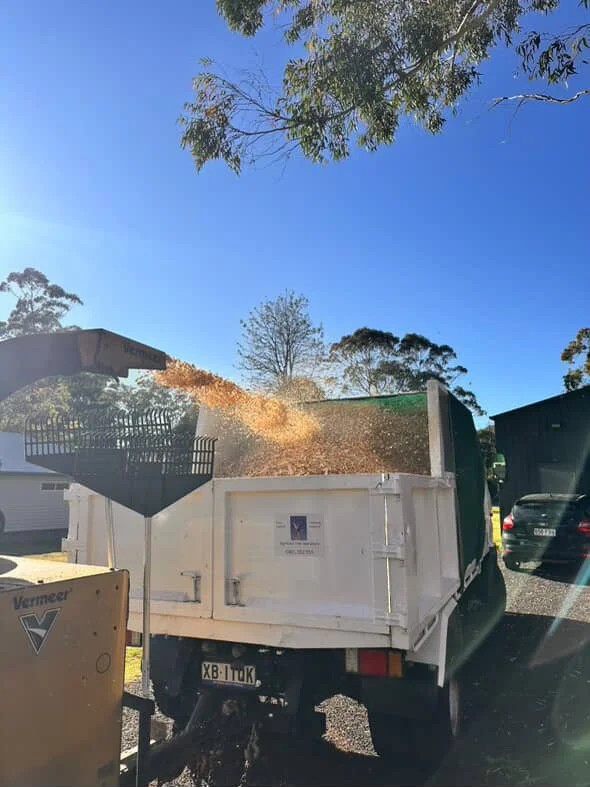 A truck dumping wood chips into a container in a parking lot with clear blue skies and trees in the background.