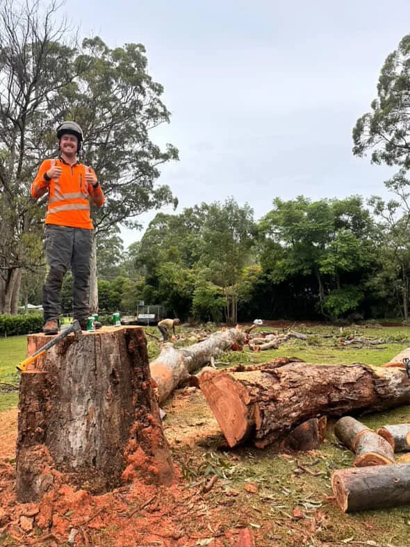 A man standing on a tree stump giving two thumbs up, with cut logs and fallen trees in a park setting.