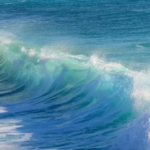 Living Between the Waves