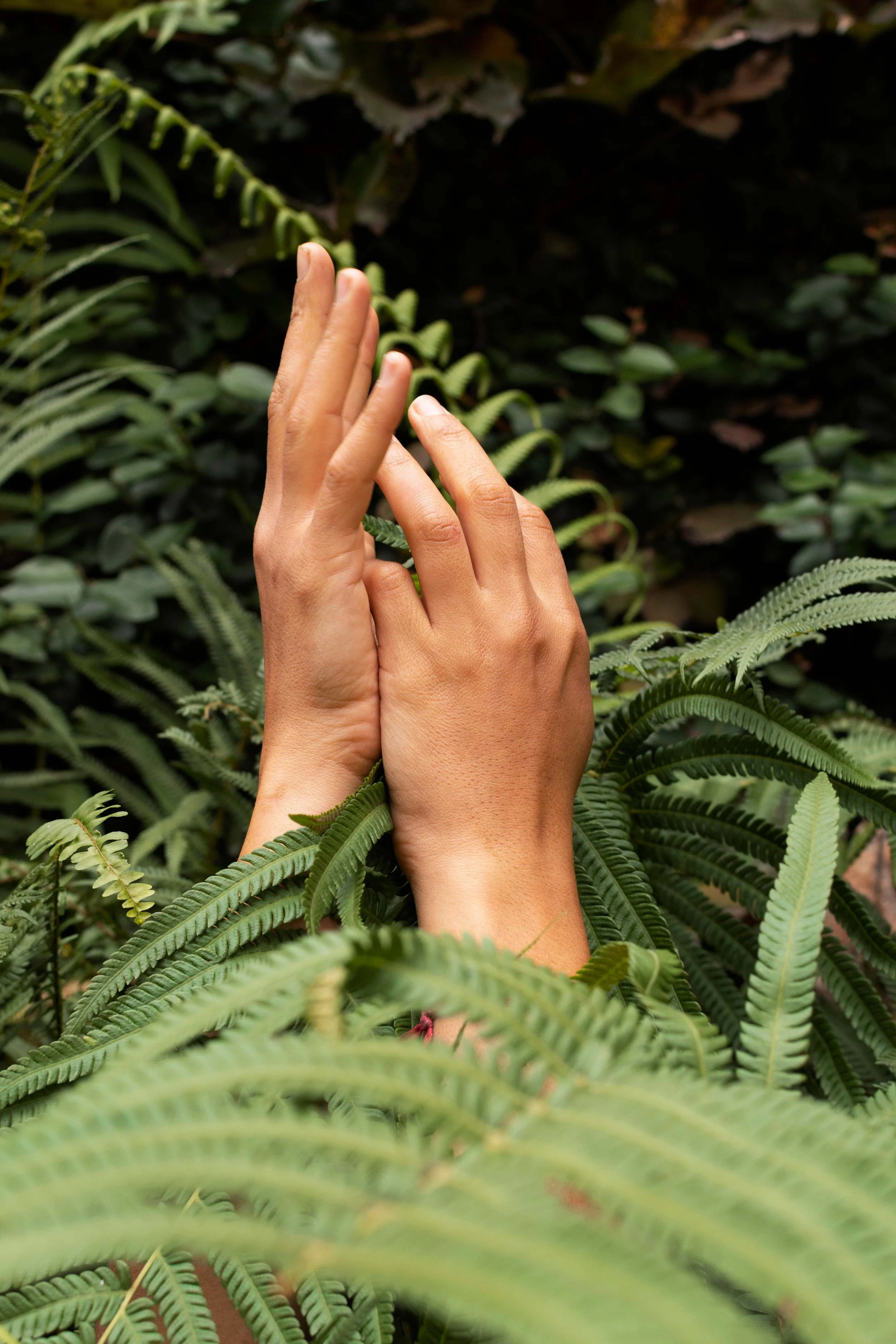 hands against green foliage
