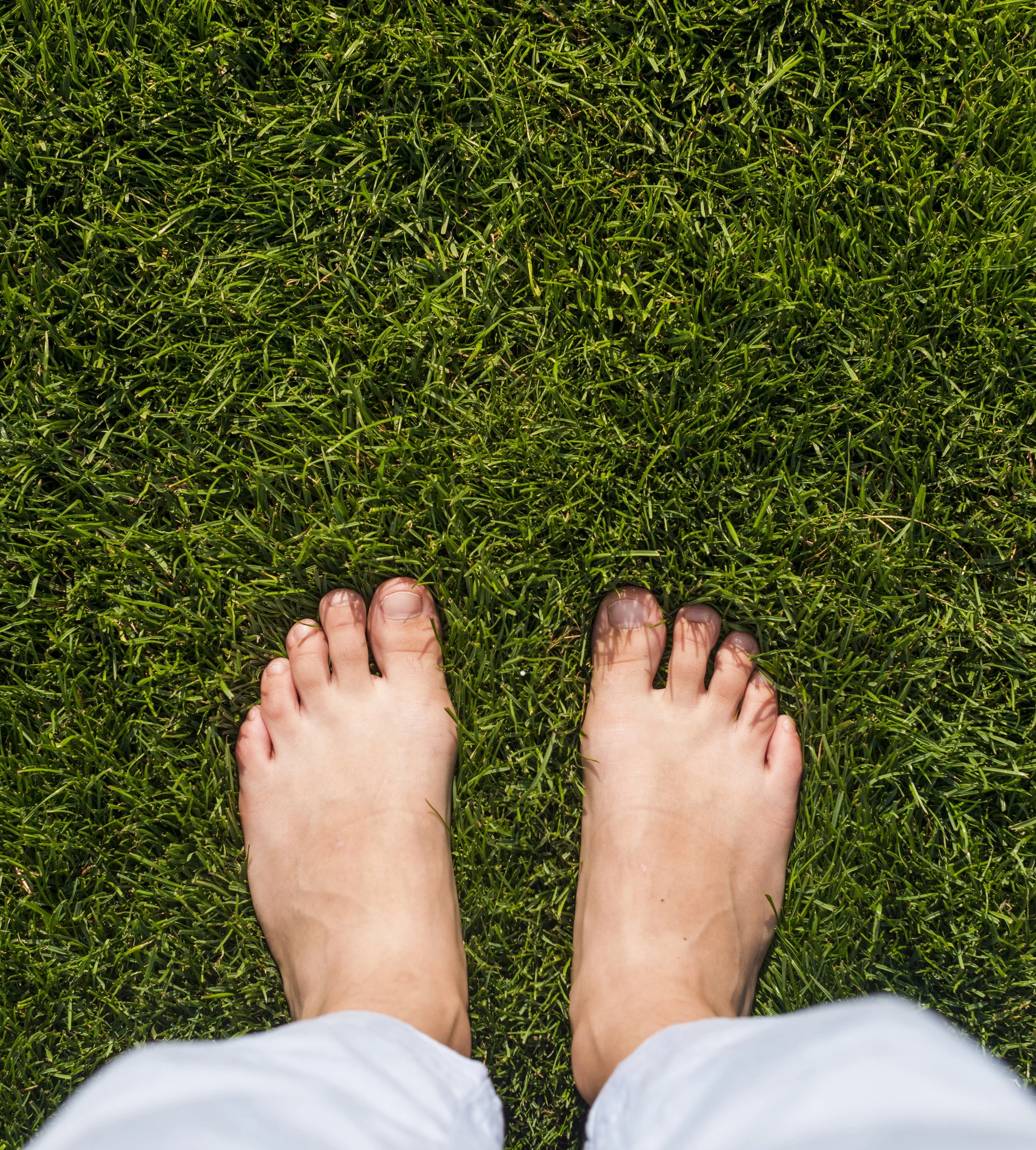 Top view of girl's feet on grass