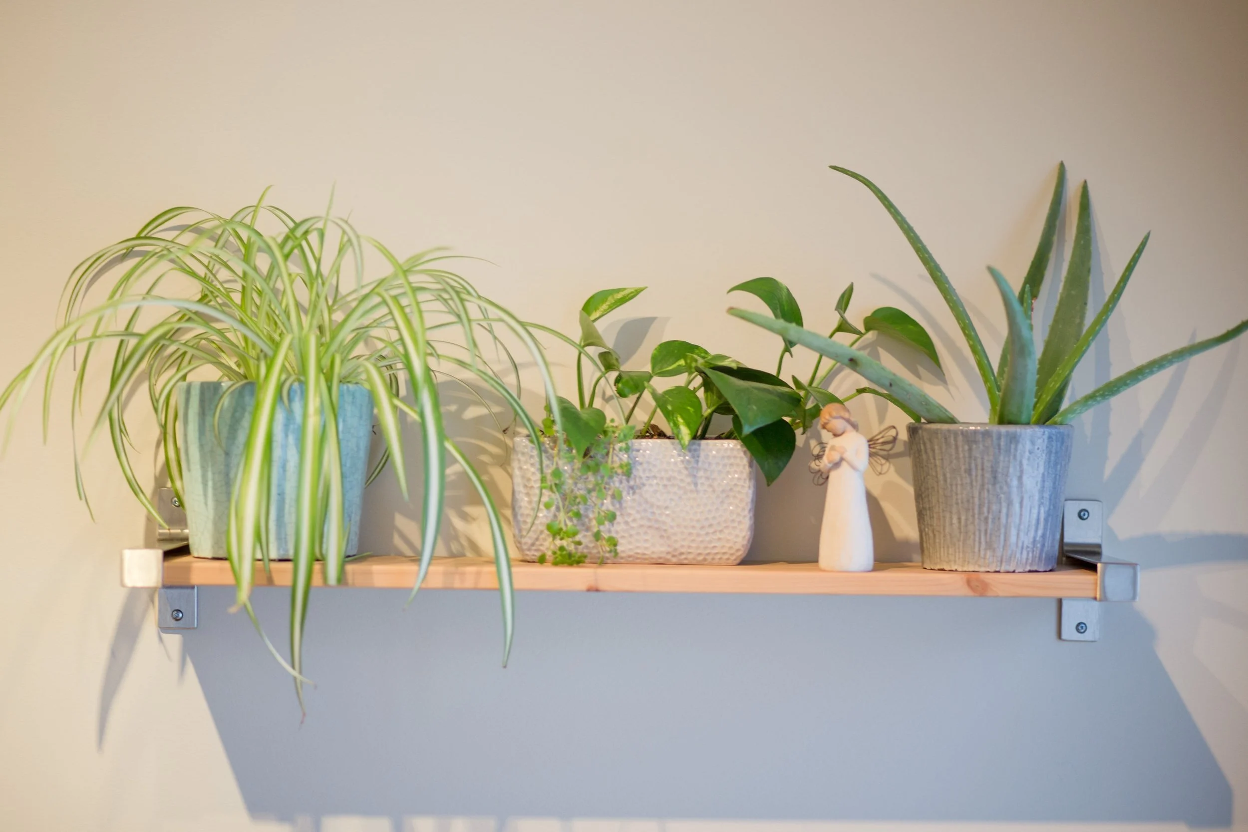 A wooden shelf with four potted plants and a small angel figurine against a plain wall.